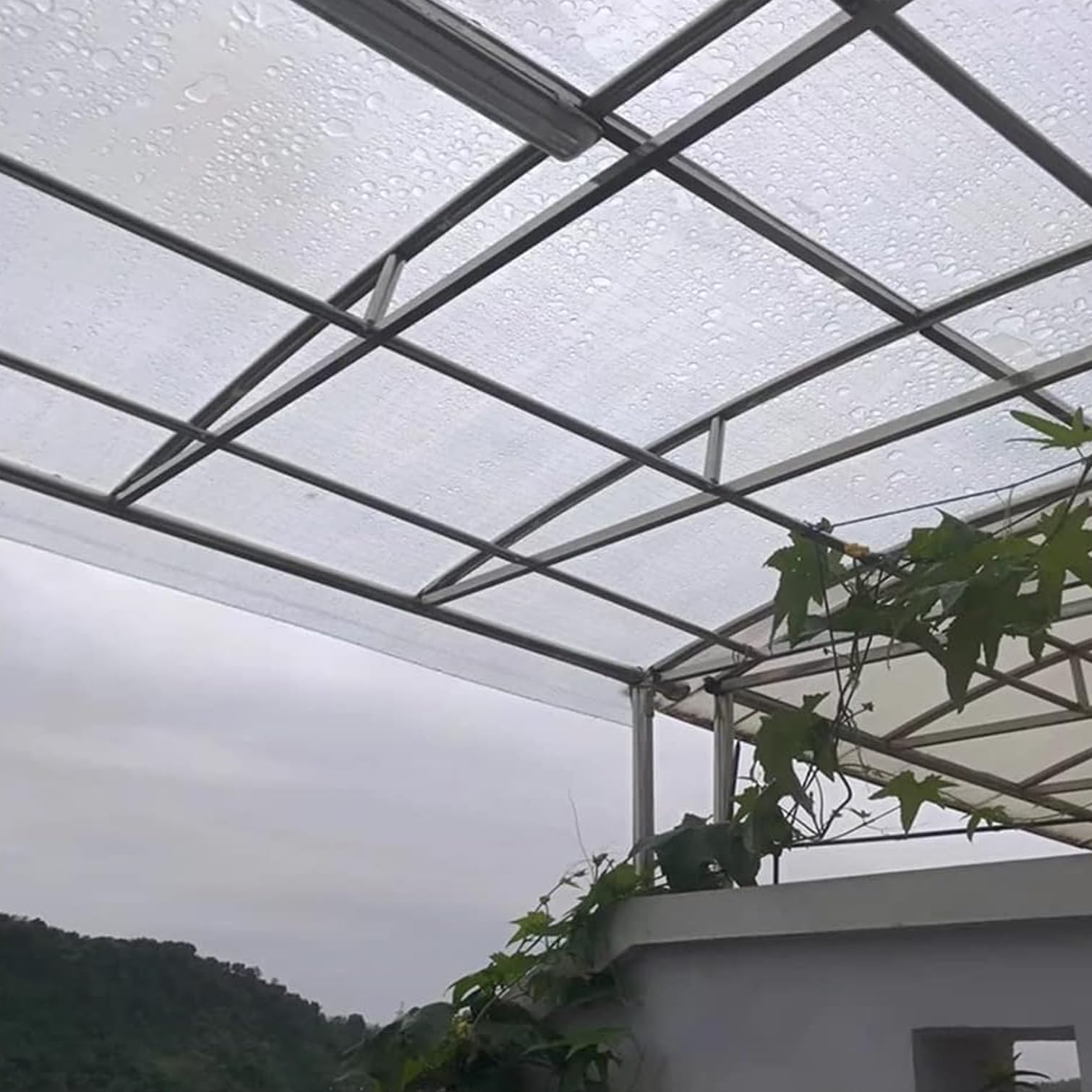 Amazon.co.jp: ポリカーボネートシート DIY温室、0.8mm屋根の壁の窓の