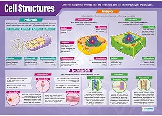 Daydream Education Cell Structures | Science Posters | Gloss Paper measuring 850mm x 594mm (A1) | Science Charts for the Classroom | Education Charts