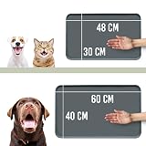 Ver la foto 6