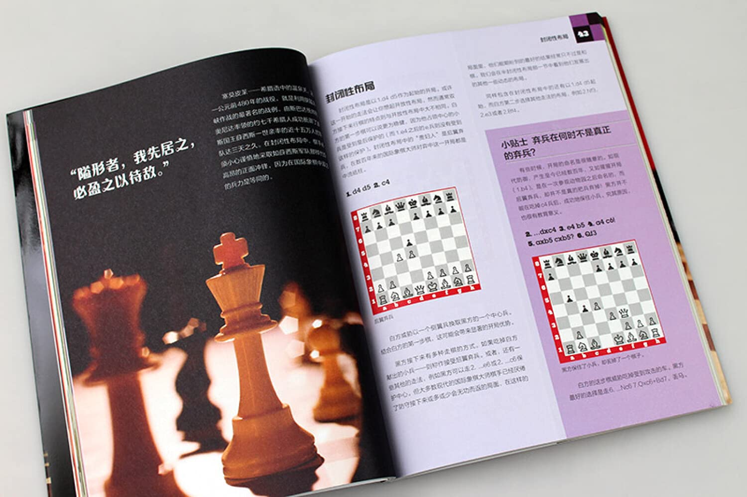 国际象棋入门教程（全彩图解版）      Paperback – January 1, 2018
