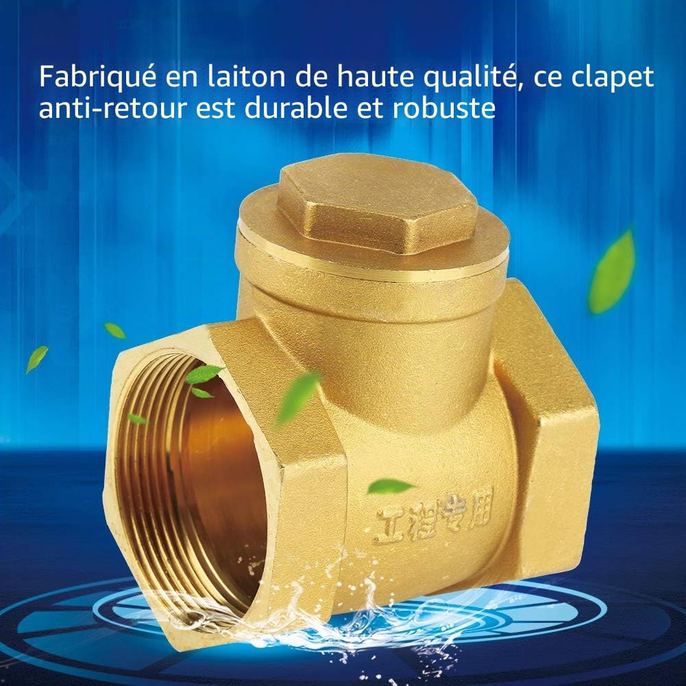 2 Pouces Clapet Anti-retour à Filetage Femelle DN50 en Laiton Clapet Anti-retour à Battant Anti-retour D'air 232Psi Empêche le Reflux D'eau