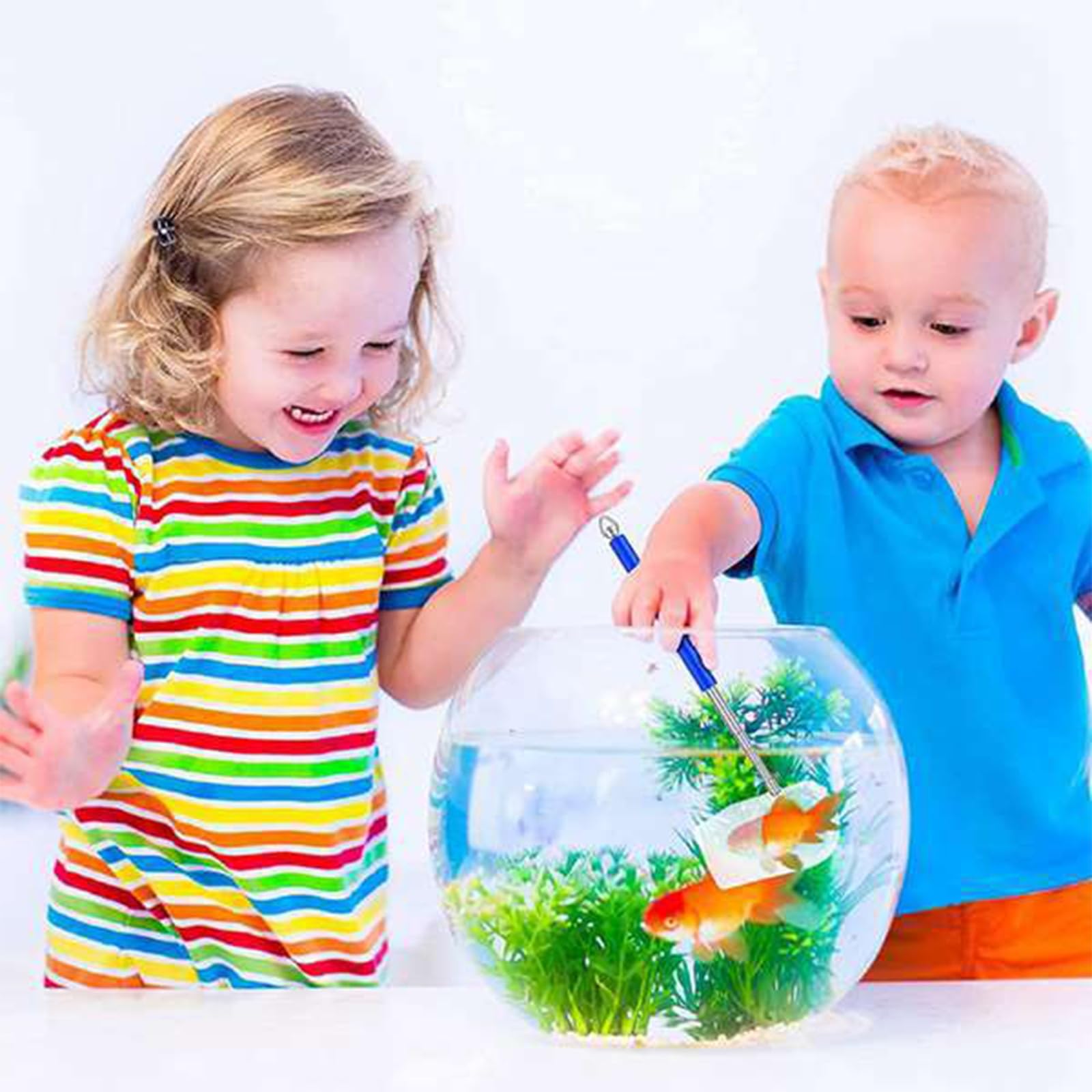Filet à Crevettes Télescopique Pour Aquarium – 8 Cm, Manche Inox, Mailles Douces – Idéal Pour Petits Poissons Et Nettoyage