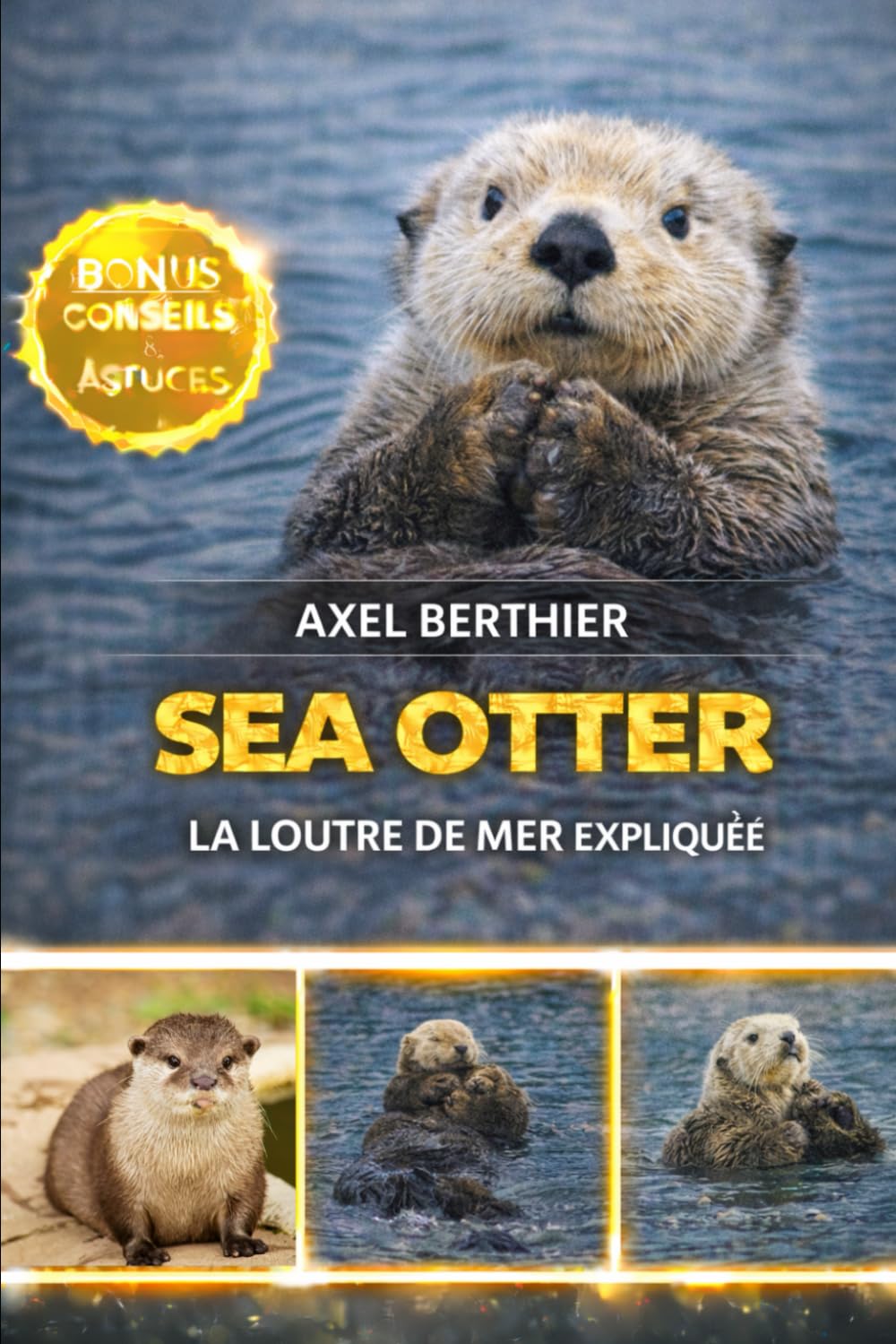 Sea Otter la loutre de mer expliquée