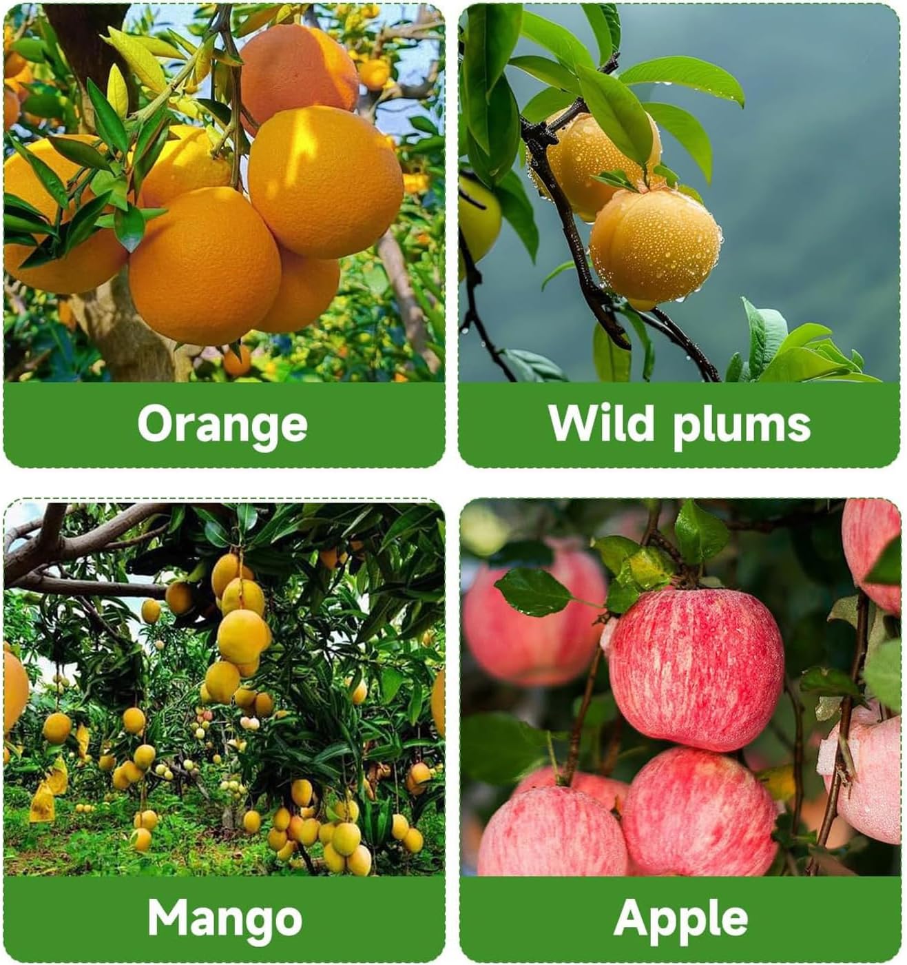 LeJoy Garden Fruit Picker Pole with Fabric Basket,13FT Lightweight Stainless Steel Pole with Twist-On Basket,Fruit Catcher Equipment Tree Picker for Apple Orange Avocado Acorn Lemon Pear Mango