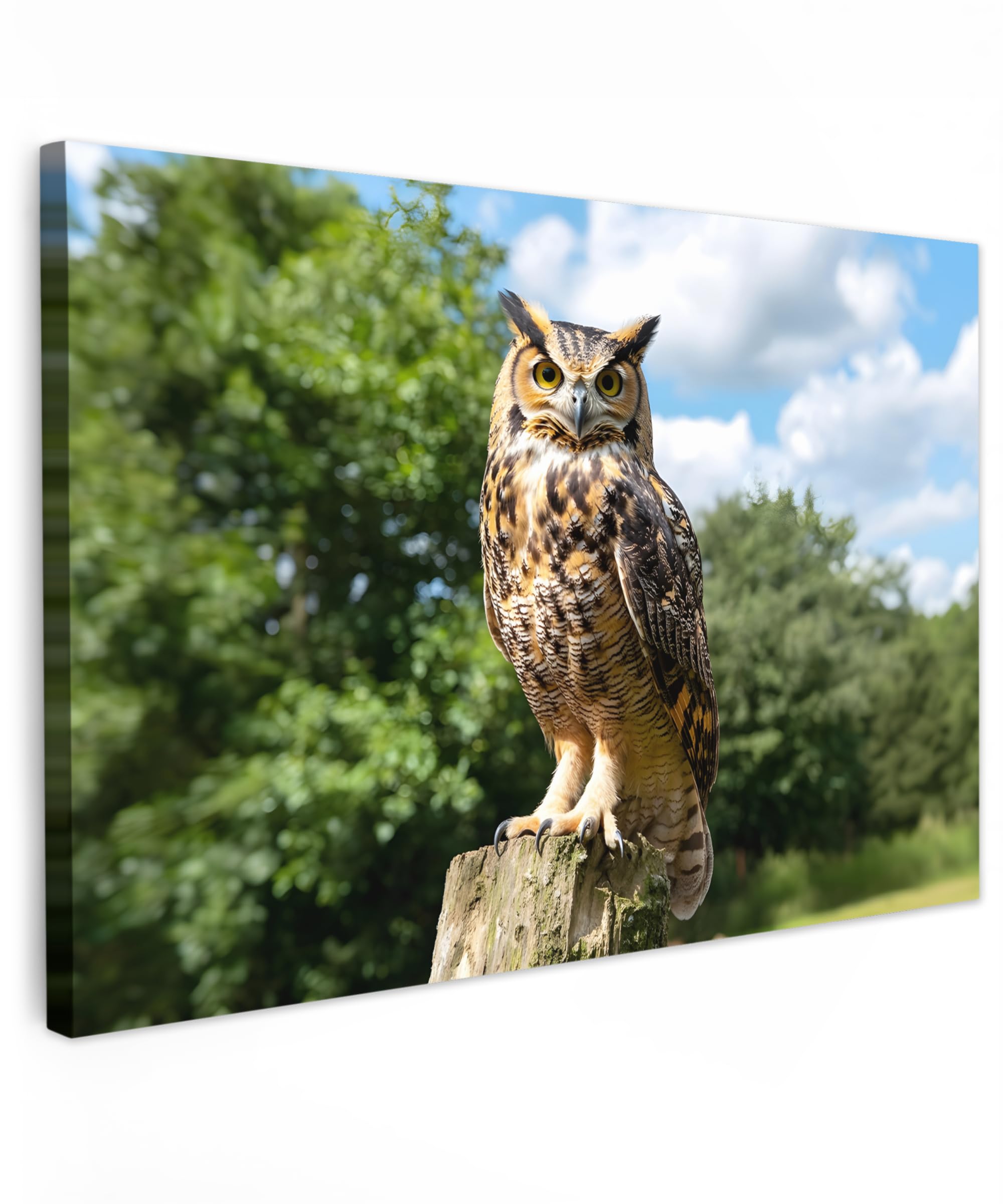 MuchoWow© Canvas Wall Art 35"x24" / 90x60 cm Decor Paintings Prints framed on Canvas Decorations Wallart Owl - Tree Stump - Forest - Sky