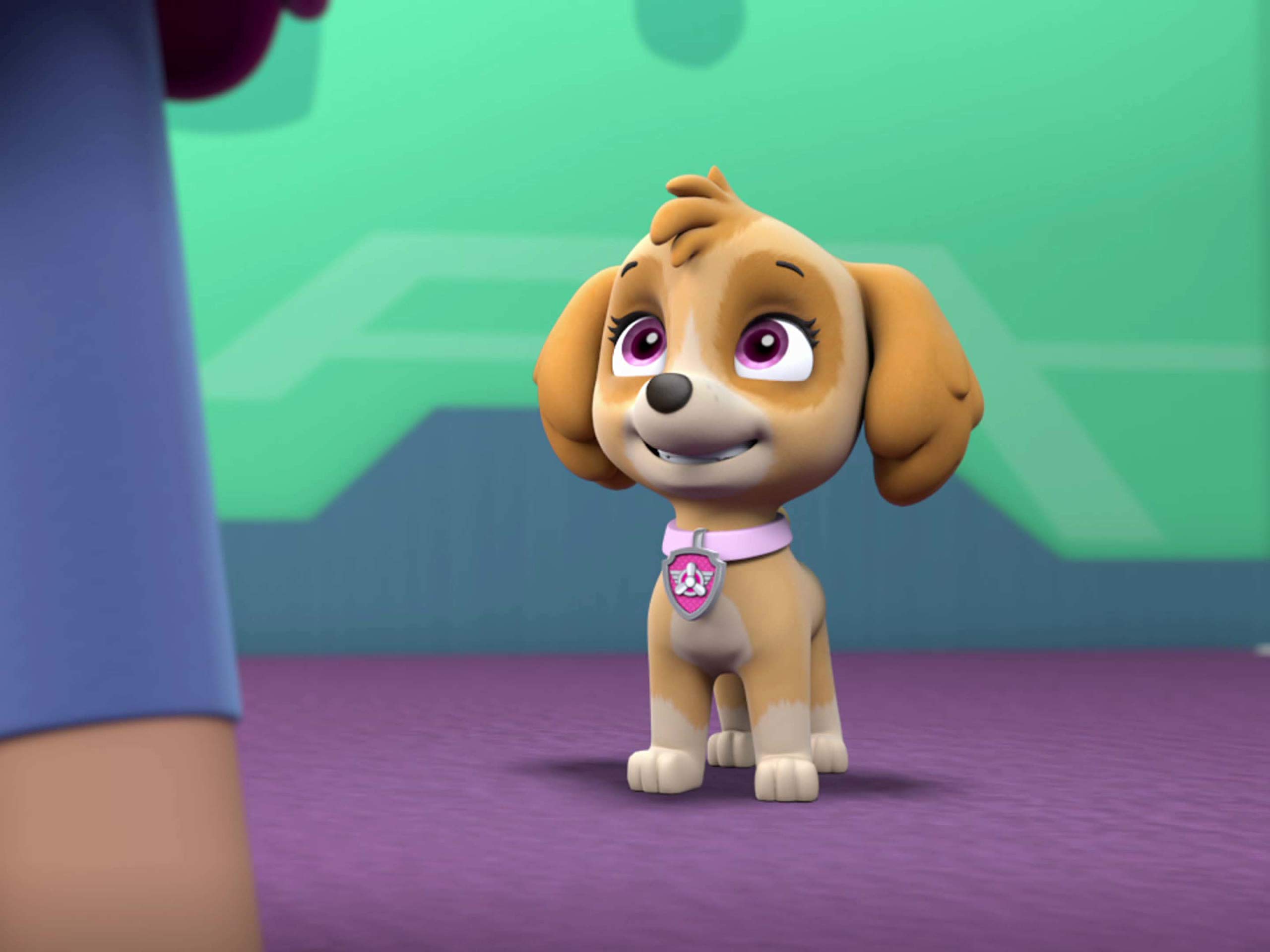 Amazon.de: Paw Patrol - Staffel 4 Teil 2 [dt./OV] ansehen | Prime Video