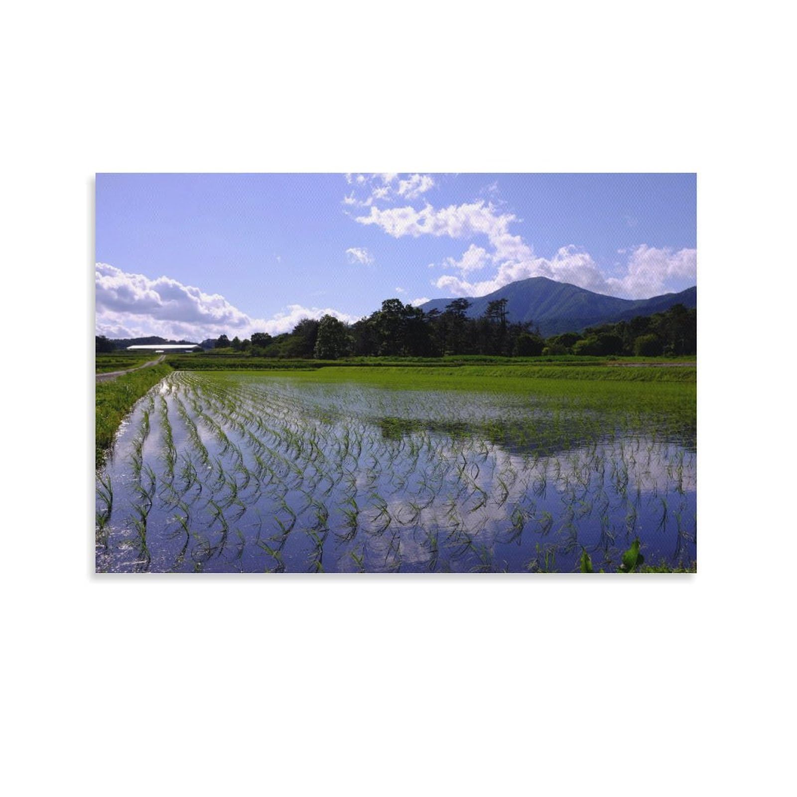 絵画 インテリア　絵　 額付 (黒）油絵　uF6-063003　日本の田園風景 絵画 インテリア 絵 油絵 uF6-063003 風景（日本の田園風景