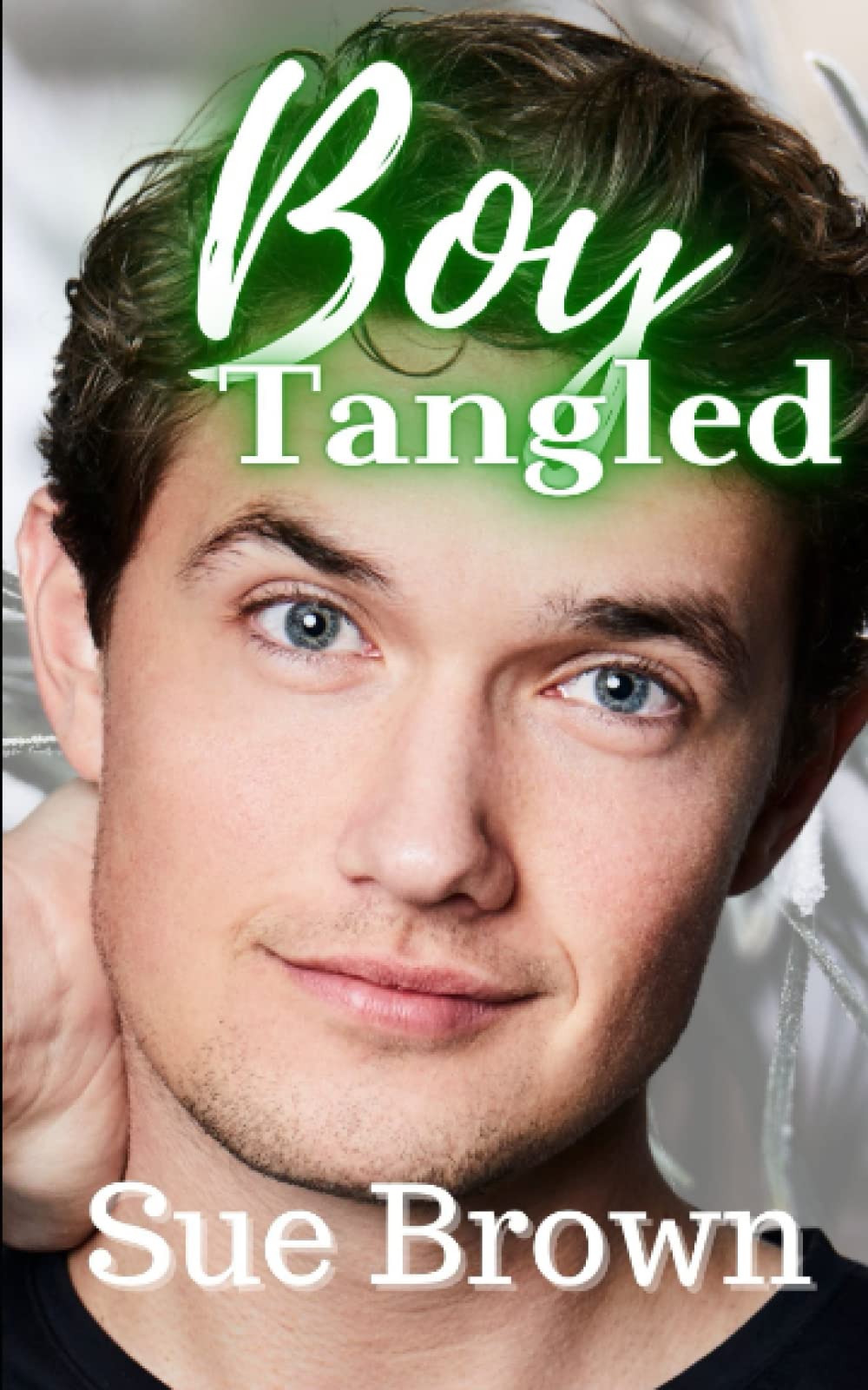 Boy Tangled: a Daddy Gay Romance: 3 (Bearytales in the Wood)
