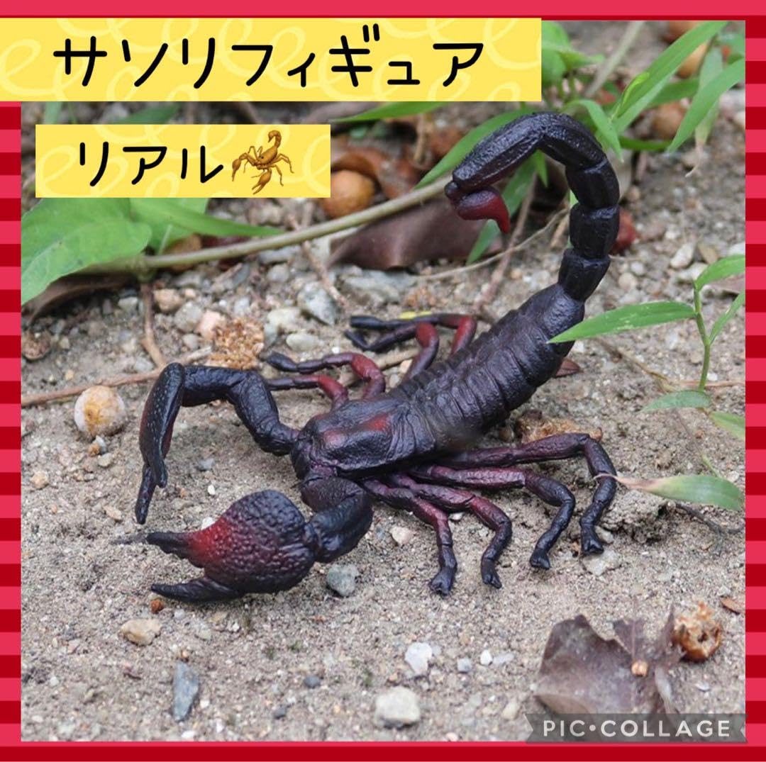 サソリの置物 Amazon | いきもの大図鑑 サソリ ダイオウサソリ 大 さそり 蠍
