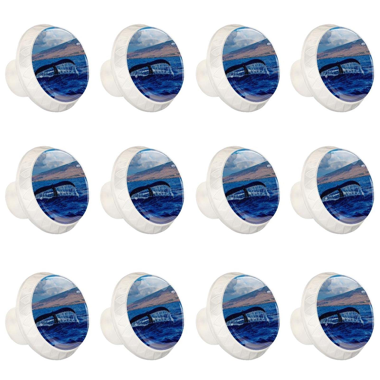 Boutons d'armoires de cuisine ronds en lot de 12 pièces au motif animal de la plage