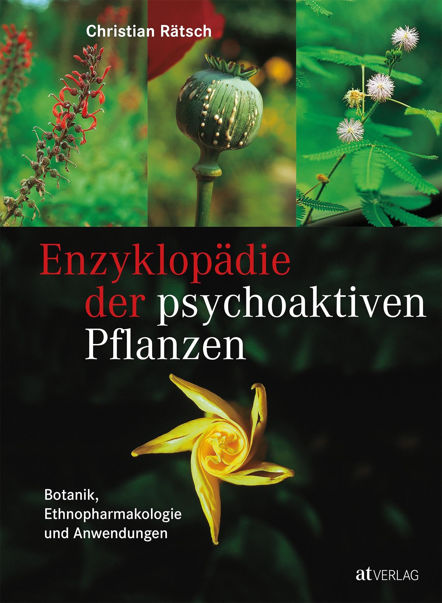 Enzyklopädie der psychoaktiven Pflanzen: Botanik, Ethnopharmakologie und Anwendung. Das unentbehrliche Standardwerk von Christian Rätsch mit über 800 Farbfotos. Natürlich bei AT
