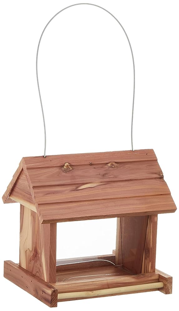 Amazon.co.jp: クオリス 野鳥の餌台 NO4 : ペット用品