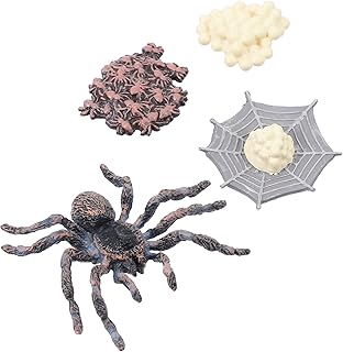 Animal Figurine Cycle Life Set Life Cycle of a Spider Kit Kids Learning Teaching Growth Cycle Model Toy Preschool Cognition Playset