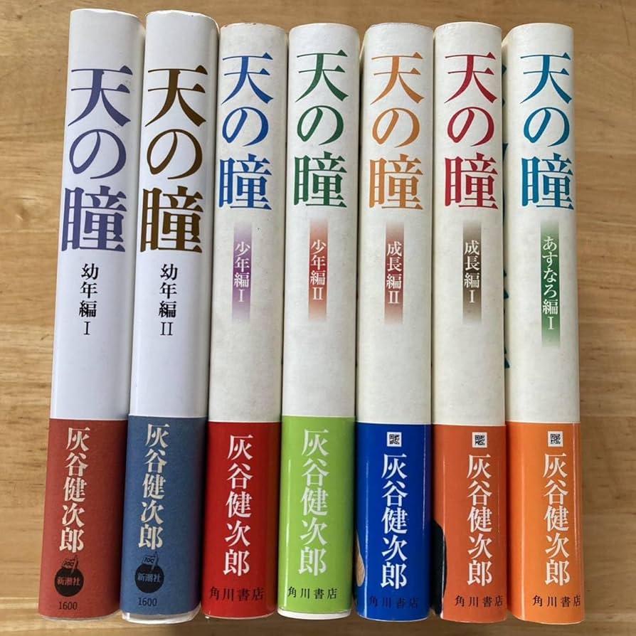 絶版・希少　天の瞳 7冊セット　灰谷健次郎　単行本　まとめ売り 絶版・希少 天の瞳 7冊セット 灰谷健次郎 単行本 まとめ売り