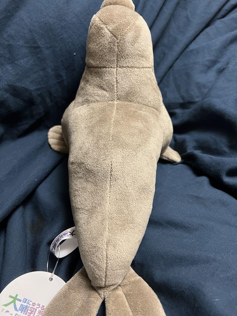 Amazon.co.jp: 大哺乳類展3 ミナミゾウアザラシ ぬいぐるみ タグ付き