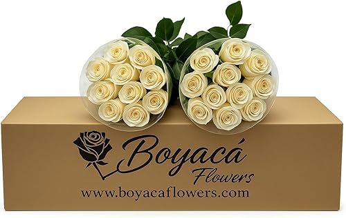 Miniatura 2 de Boyacá flowers, Flores de Boyacá, ramo de rosas blancas de 50 tallo, flores frsh directas de la granja, regalo para aniversario, cumpleaños,