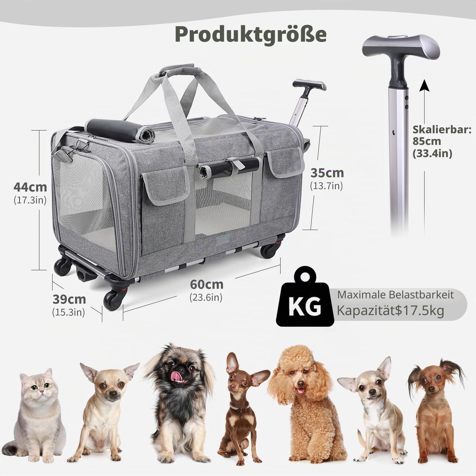 PETCUTE Transporttasche für Katze mit Rollen,Atmungsaktiv Katzen Transporttasche für 2 Katzen,Faltbarer Katzentransportbox Hundetragetasche mit Teleskopgriff,Herausnehmbare Matte, ideal für Reisen