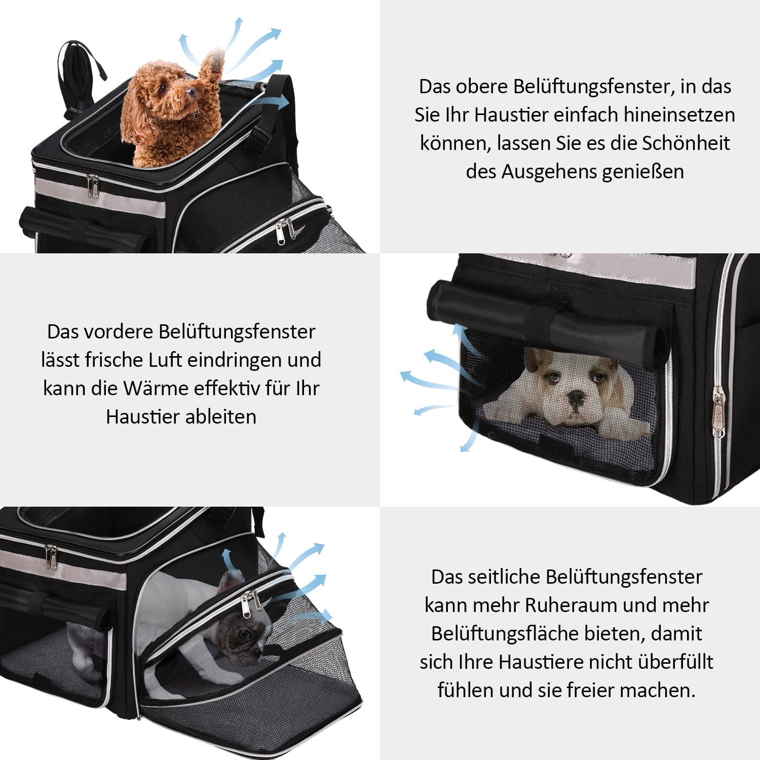 Haustier Fahrradtasche für Hunde Katzen, Haustier Rucksäke mit Vorne Atmungsaktiv Netzfenster, Faltbarer Raum Tragetasche für Kleine Mittlere Hunde und Katzen 6kg (Schwarz)