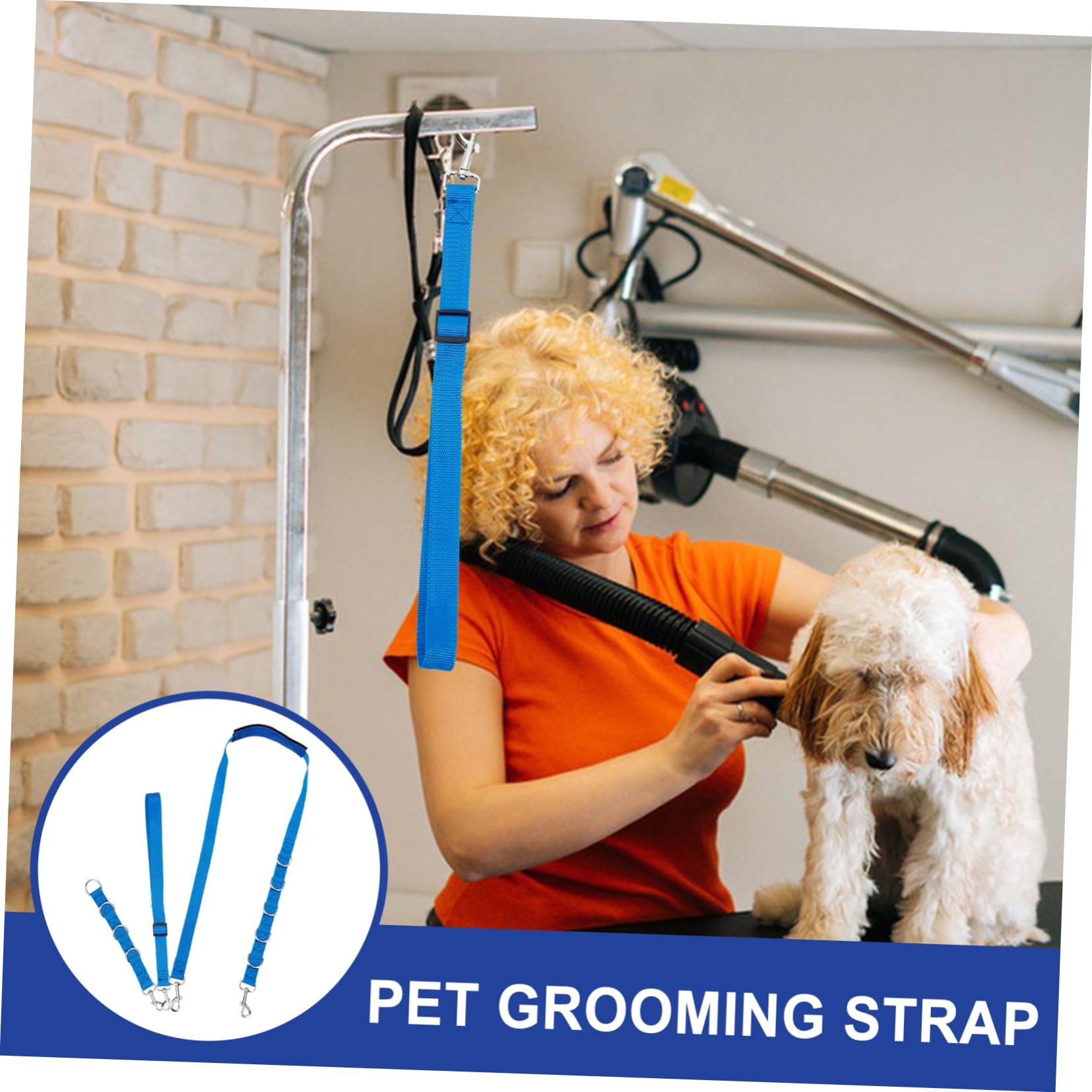 Sosoport 12piezas Mesa De Grooming para Mascotas Cuerda Ajustable Kit para Baño y Cuidado Accesorios De Peluquería para Mascotas