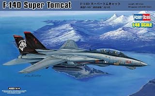 Hobby Boss F-14D Tomcat Airplane Model Building Kit
