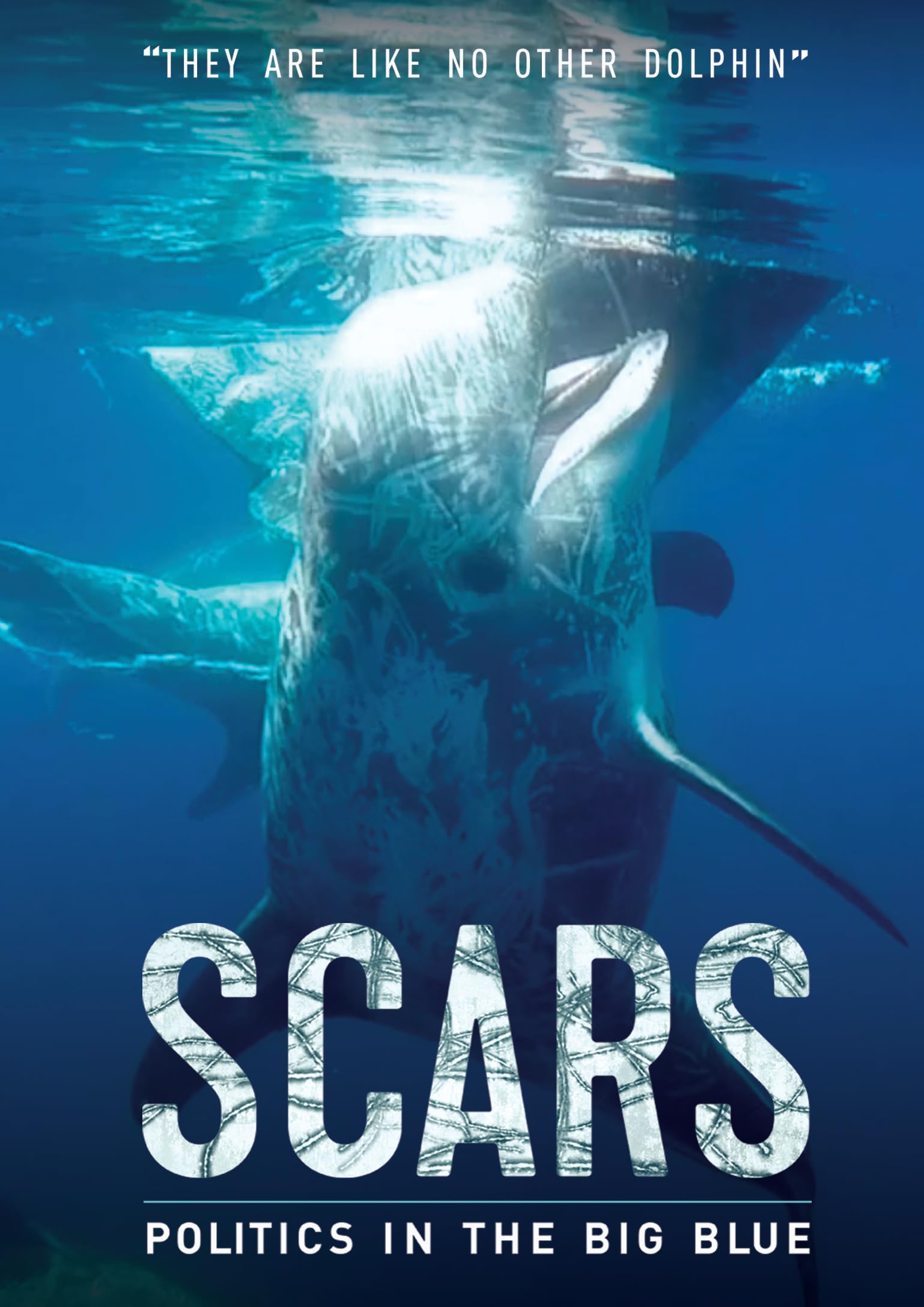 Scars [DVD]