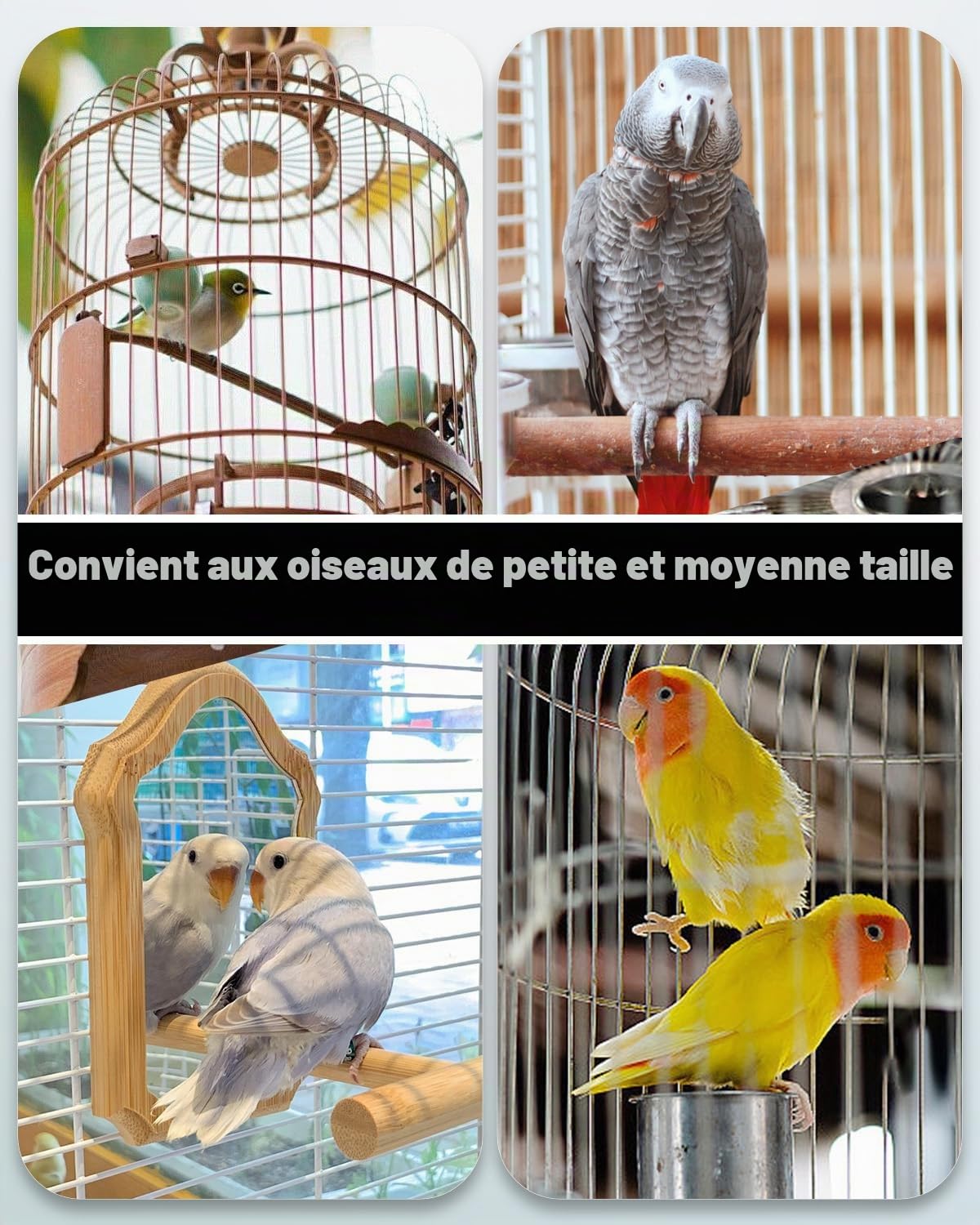 Pawfly 2 Pcs Distributeur d'eau Automatique pour Oiseaux, Mangeoire à Eau Automatique pour Oiseaux, Accessoires de Cage pour Perroquet & Hamster, Distributeur d'eau Blanc et Bleu pour Perruche