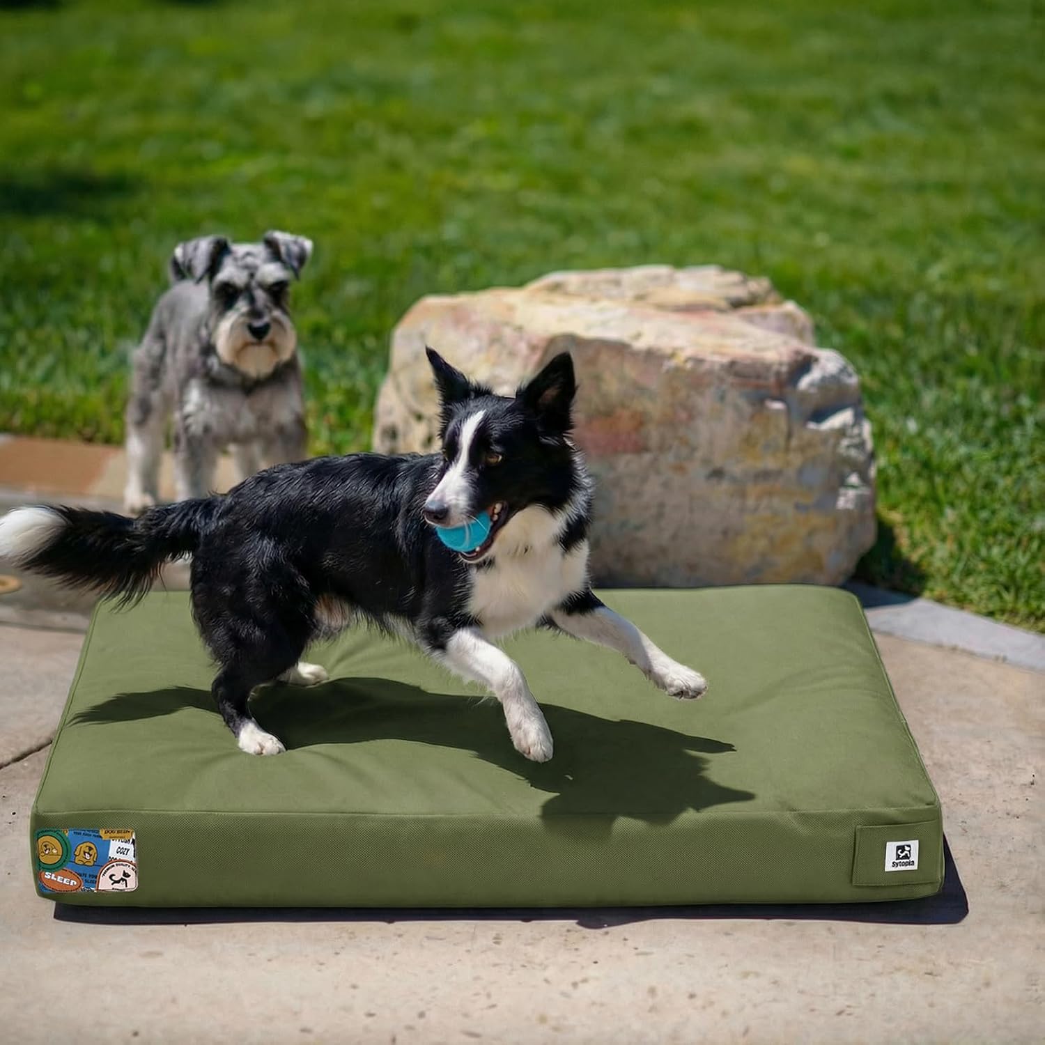 Sytopia Indestructible Waterproof Canvas Outdoor Dog Bed, 42 Inch Chew Proof Pet Bed for Extra Large Dogs, Washable Removable Cover, Indoor Outdoor Patio Pad, Dark Grey