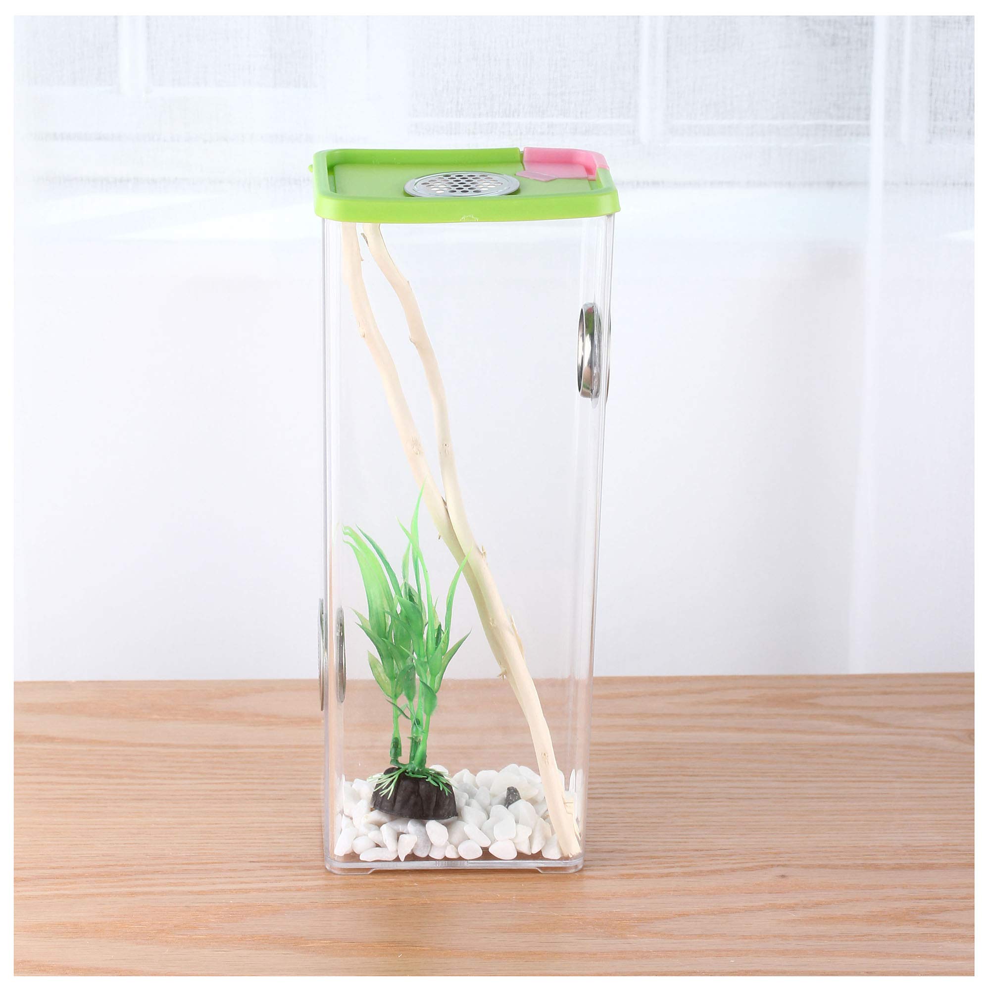 crapelles insect box for children science discover colored cage butterfly spider bottle frog mantis habitat breathable outdoor science and natural animal exploration tools bug catcher critter caterpil