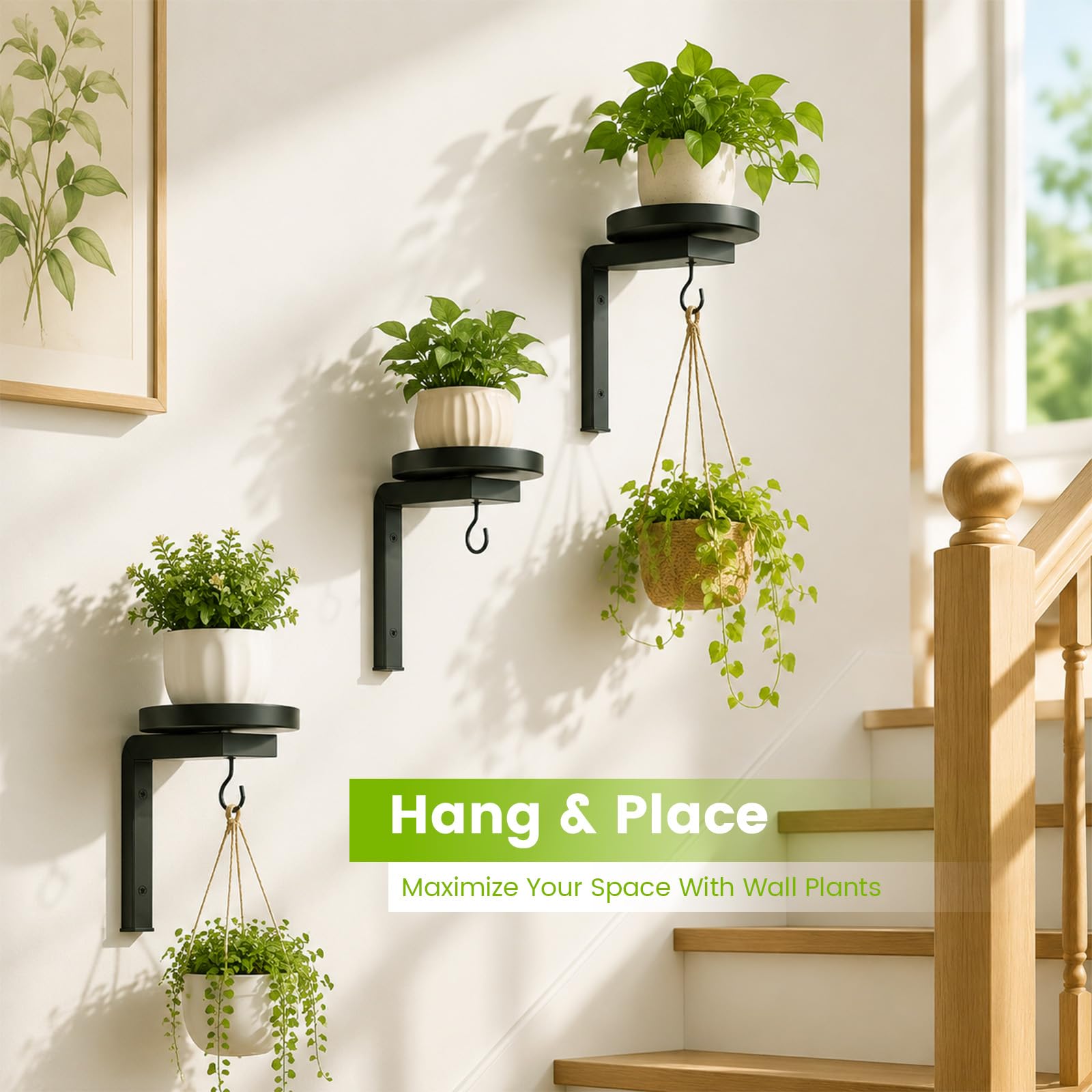 Lot de 3 supports muraux pour plantes - En métal - Avec crochets - Pour l'intérieur et l'extérieur - Étagère à plantes haute, à plusieurs étages - Pour balcon, salon, terrasse