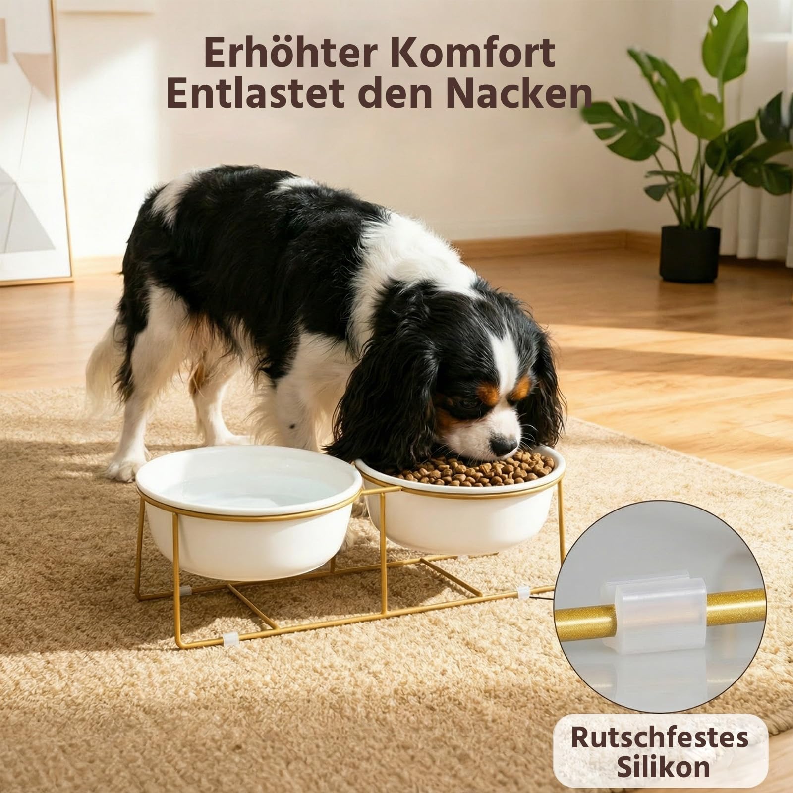Erhöhtes Hundenapf-Set aus Keramik mit Metallständer - Doppelte Fressnäpfe für Kleine bis Mittelgroße Hunde - Ideal für Futter und Wasser - Je 600 ml / 320 g - Weiß
