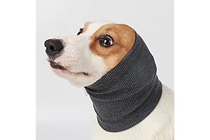 Quiet Ears for Dogs Hats: Ultimate Noise Protection