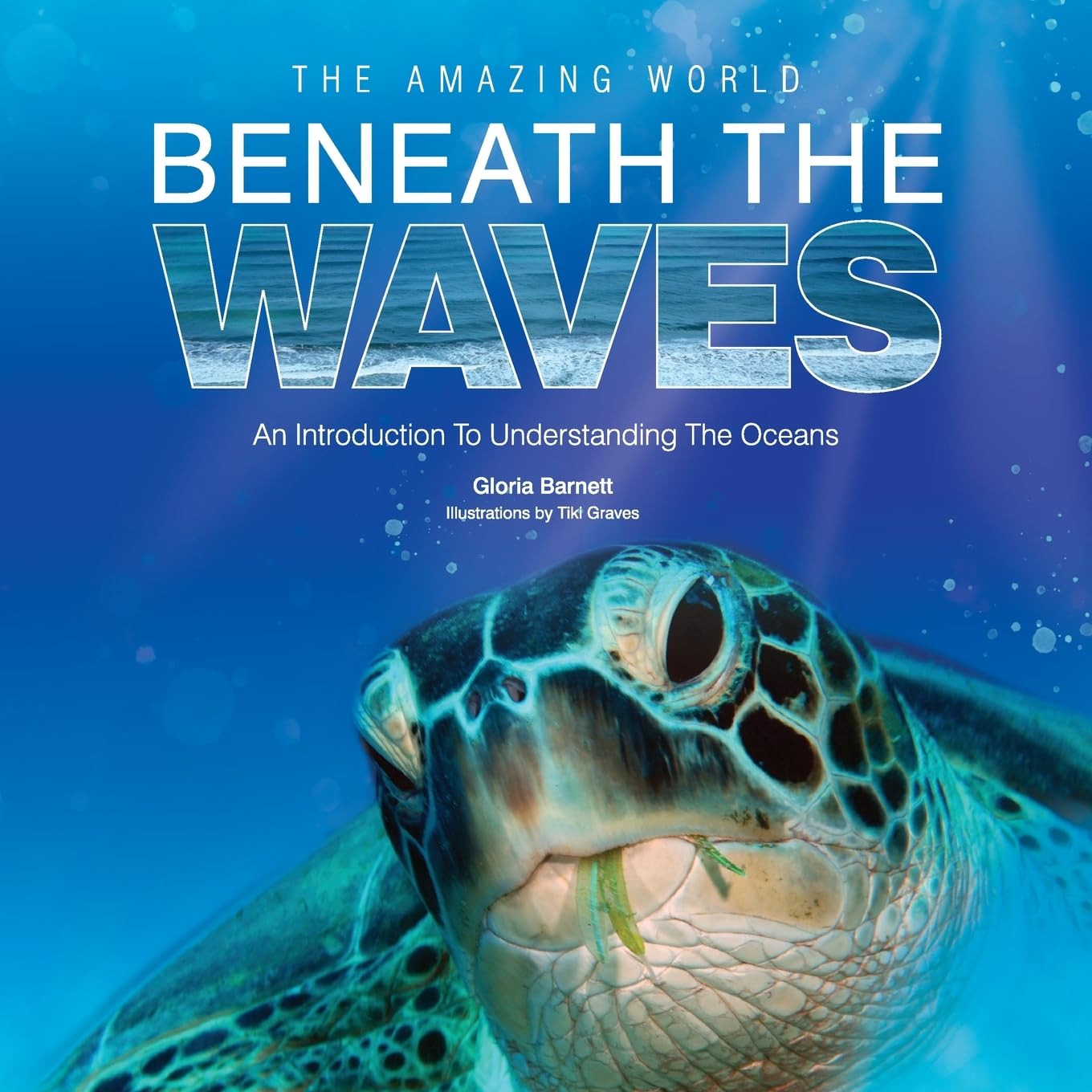 Oceans - World Beneath the Waves