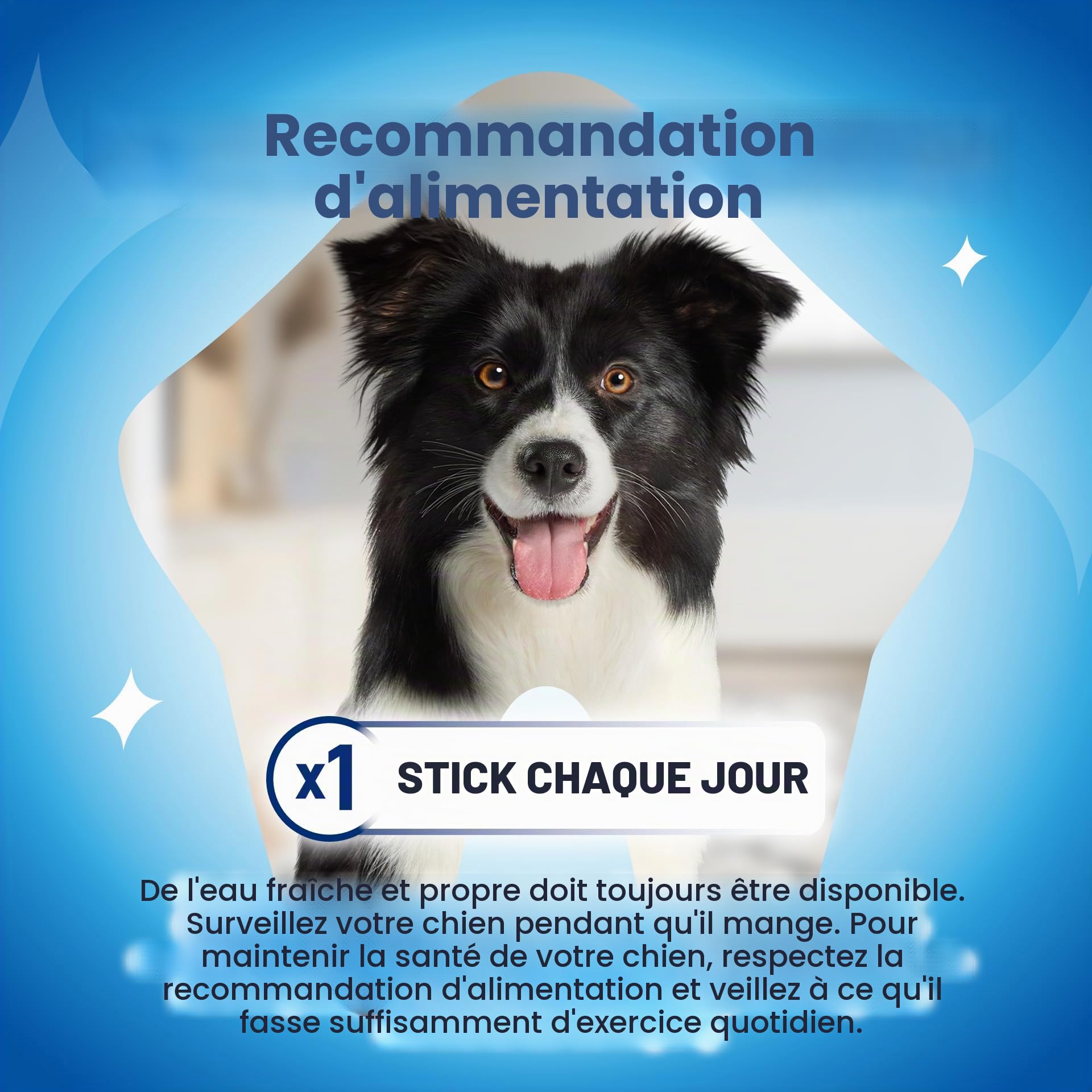 Dentalife Lot de 84 paquets de friandises pour chien - Réduit la formation de tartre (2 x 42 bâtonnets)