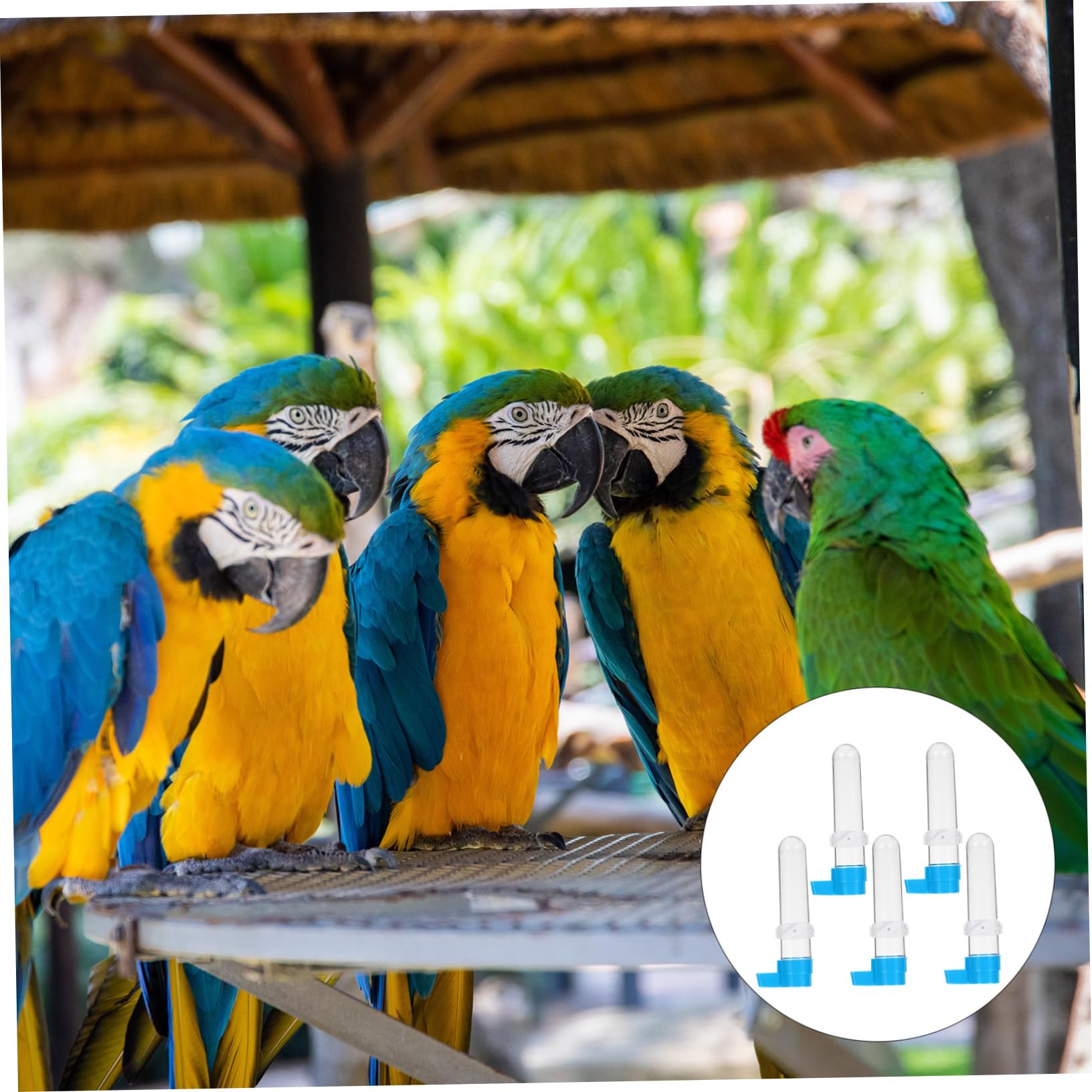 Toddmomy 10piezas Bebedero Automático para Pájaros De Botella Plástica para Alimentación De Dispositivo De Agua para Aves Accesorios De Jaula para Periquitos y