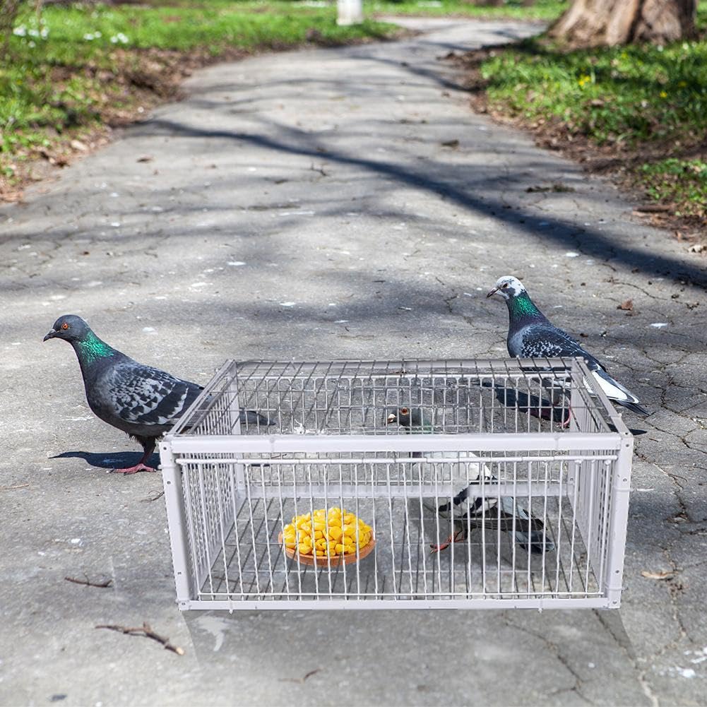 Cage à Oiseaux Portable, Petite, Épaisse et Cryptée, Piège Automatique pour la Collecte des Pigeons