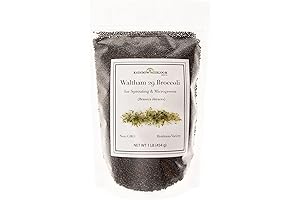 Heirloom Waltham 29 Broccoli Seeds for Sprouting