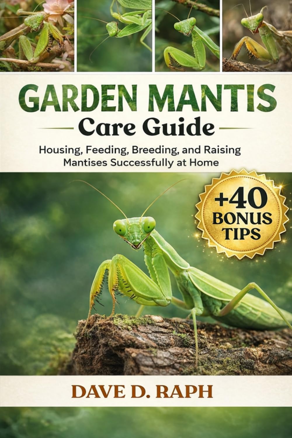 Garden Mantis Care Guide: Housing, Feeding, Breeding, and Raising Mantises Successfully at Home