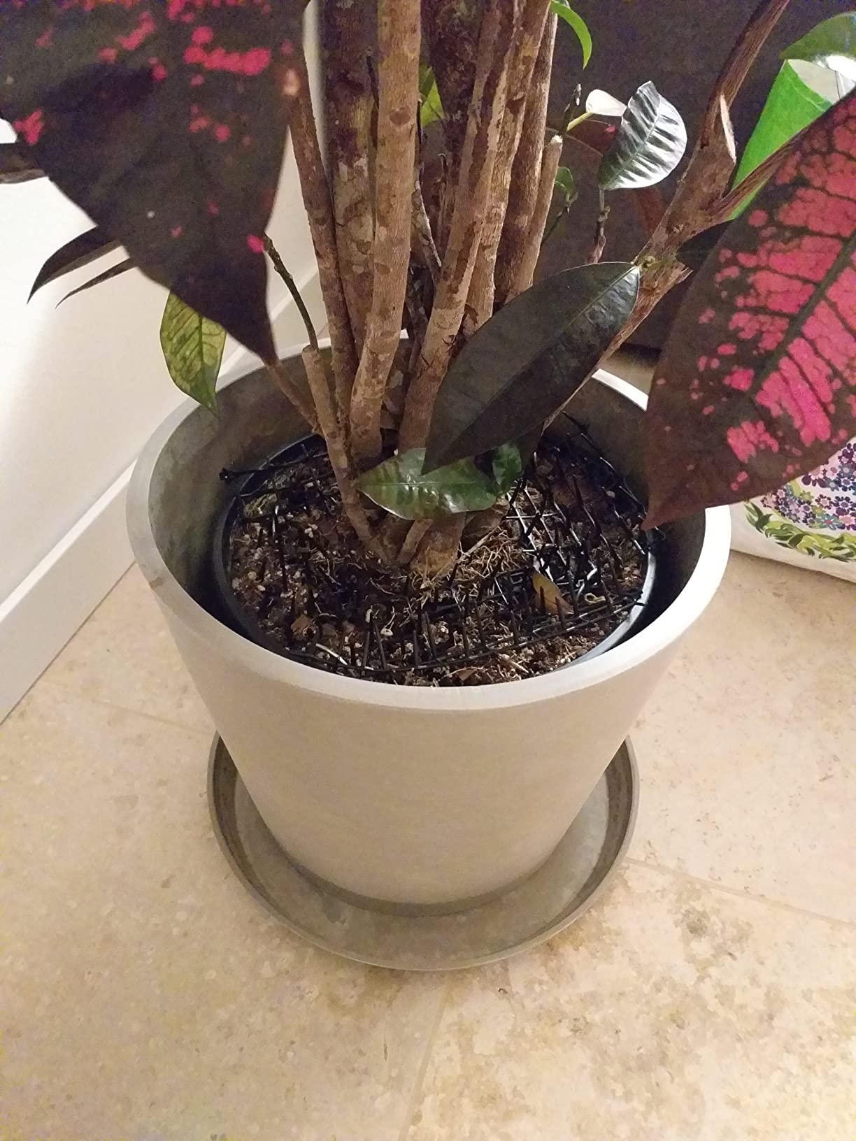 Immagine del cliente