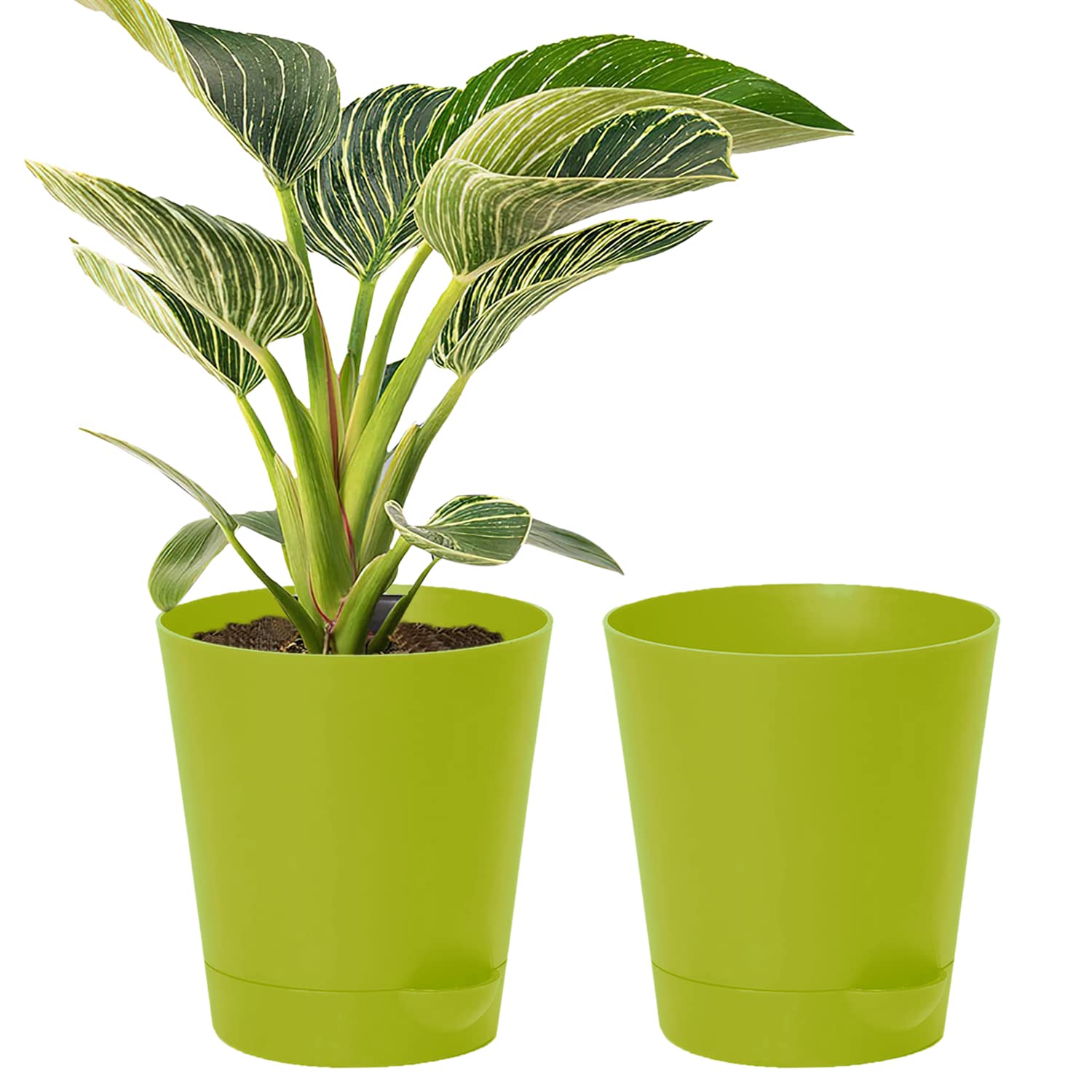 Kuber Industries Plastic Titan Pot|Garden Container for Plants & Flowers|Self-Watering Pot with Drainage Holes,6 Inch,Pack of 2 (Green) (B0BBLXS8PC) Amazon Price History, Amazon Price Tracker