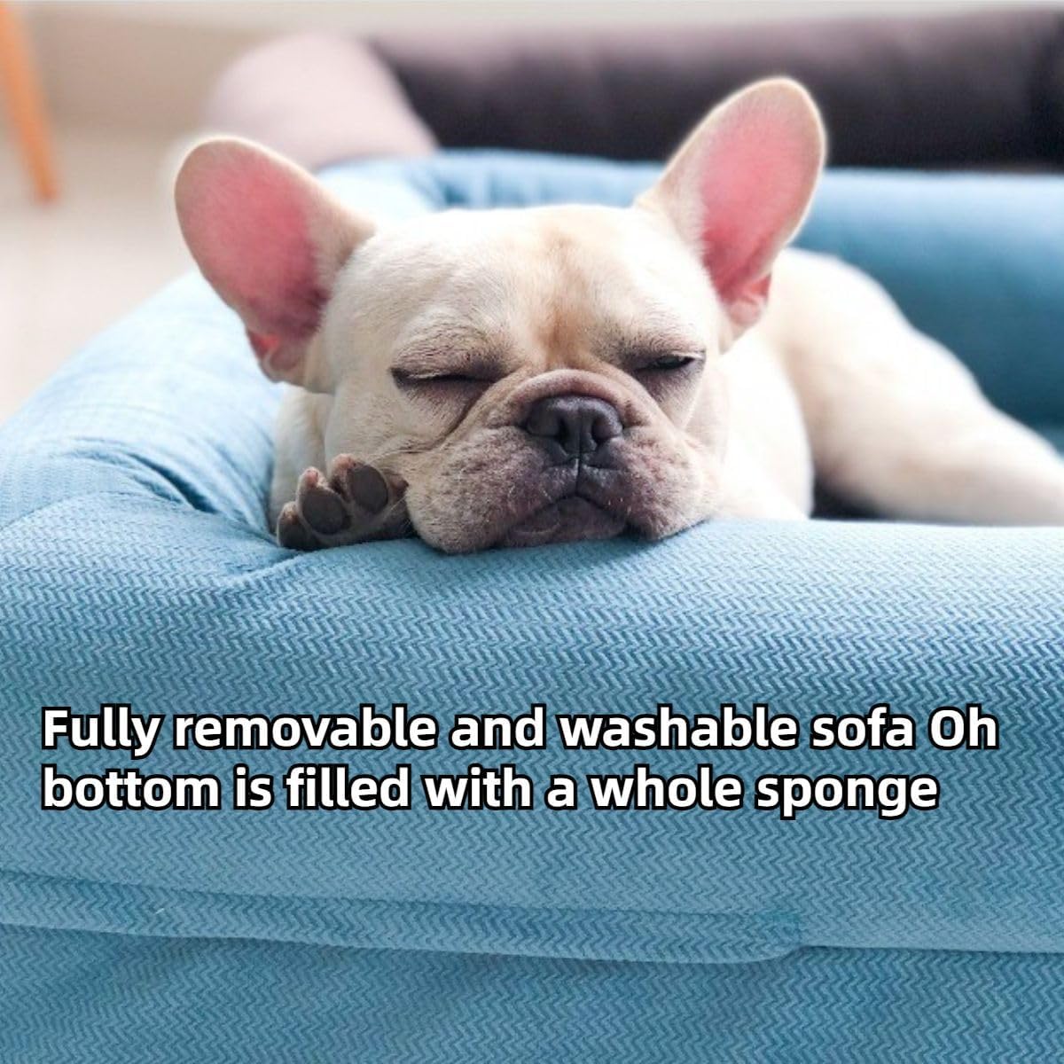 Dog Bed Couch for Small Medium Dogs, Orthopedic Pet Sofa with Sponge & Washable Fabric Cover, Soft Dog Sofa Bed for Indoor Puppies, Kitten, Cats Lounge Sleeping (Blue,Large)