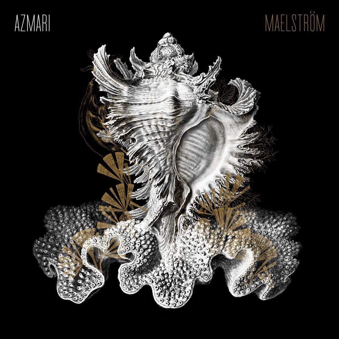 MAELSTROM [VINYL]
