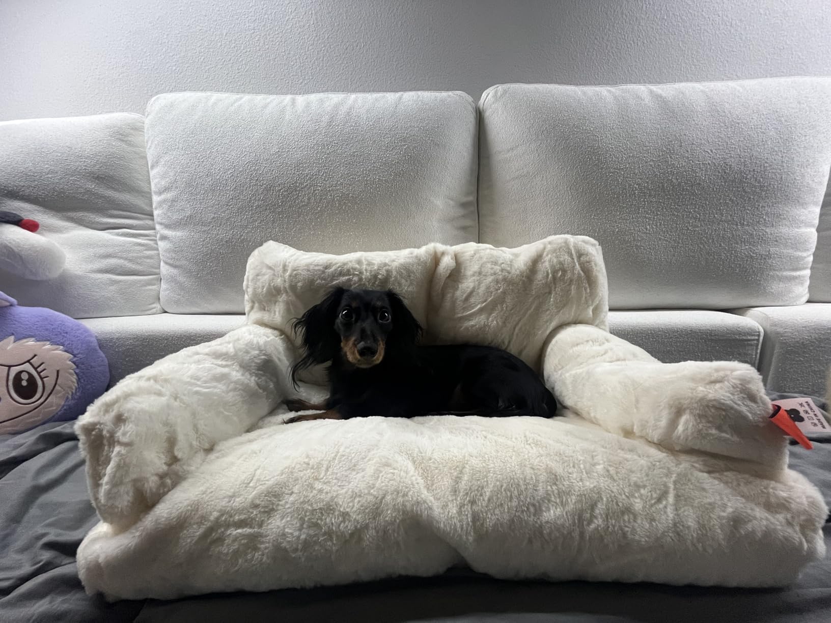 MEWOOFUN Cat Bed for Indoor Cats, Washable Dog Beds for Small Dogs & Cats with Removable Cover, Fluffy Cat Couch with Non-Slip Bottom (Grey, 26.0" L X 19.0" W X 13.0" Th) photo review