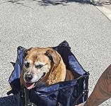 Review Image by Flawida Flawida