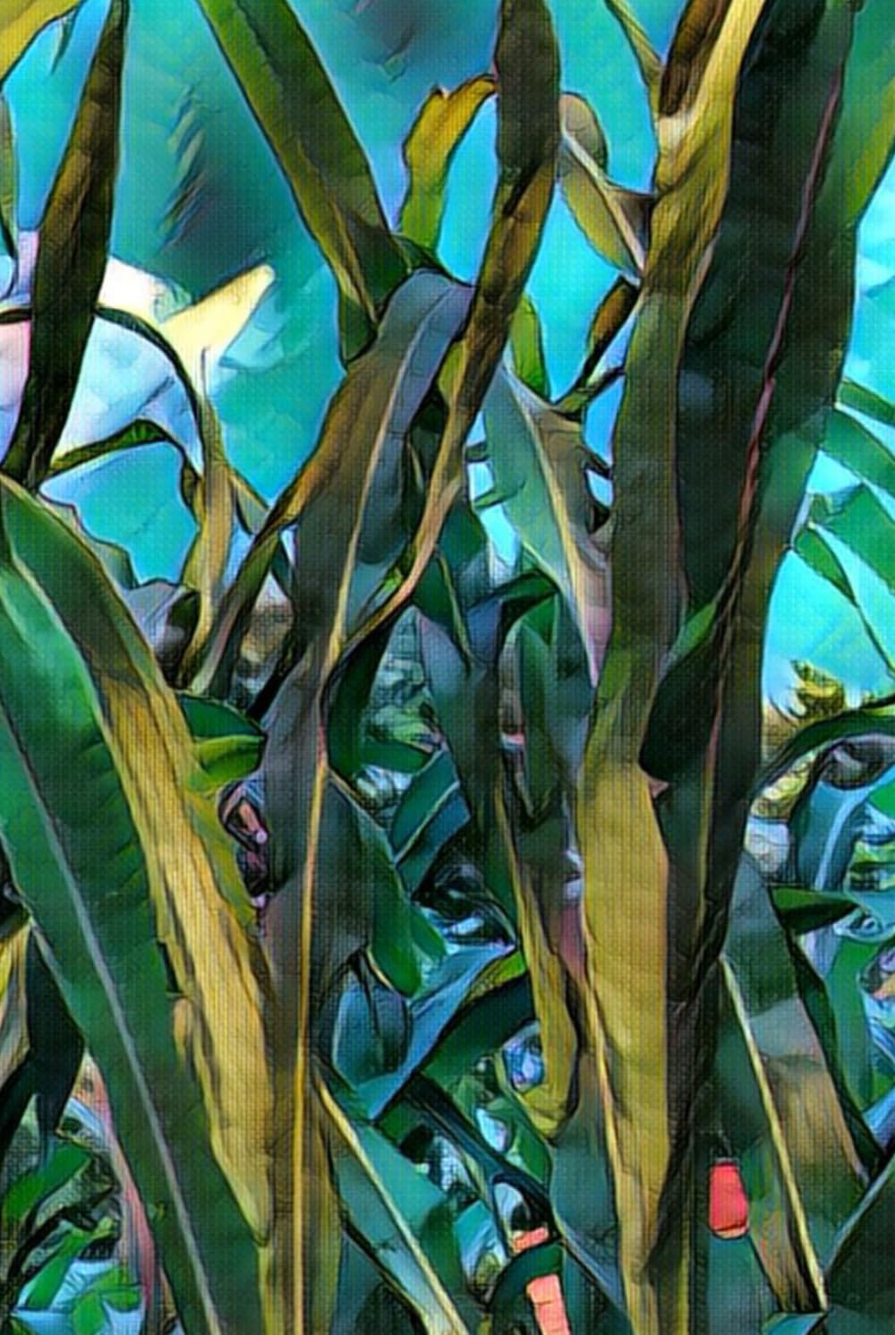 Seventh Sun Gallery Tarot Study Journal Quintuple Spread Corn