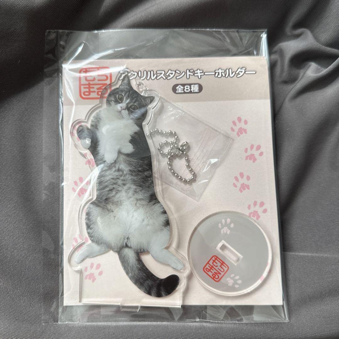 もちまる日記 もち様 アクリルスタンド カードスタンド 202307052333