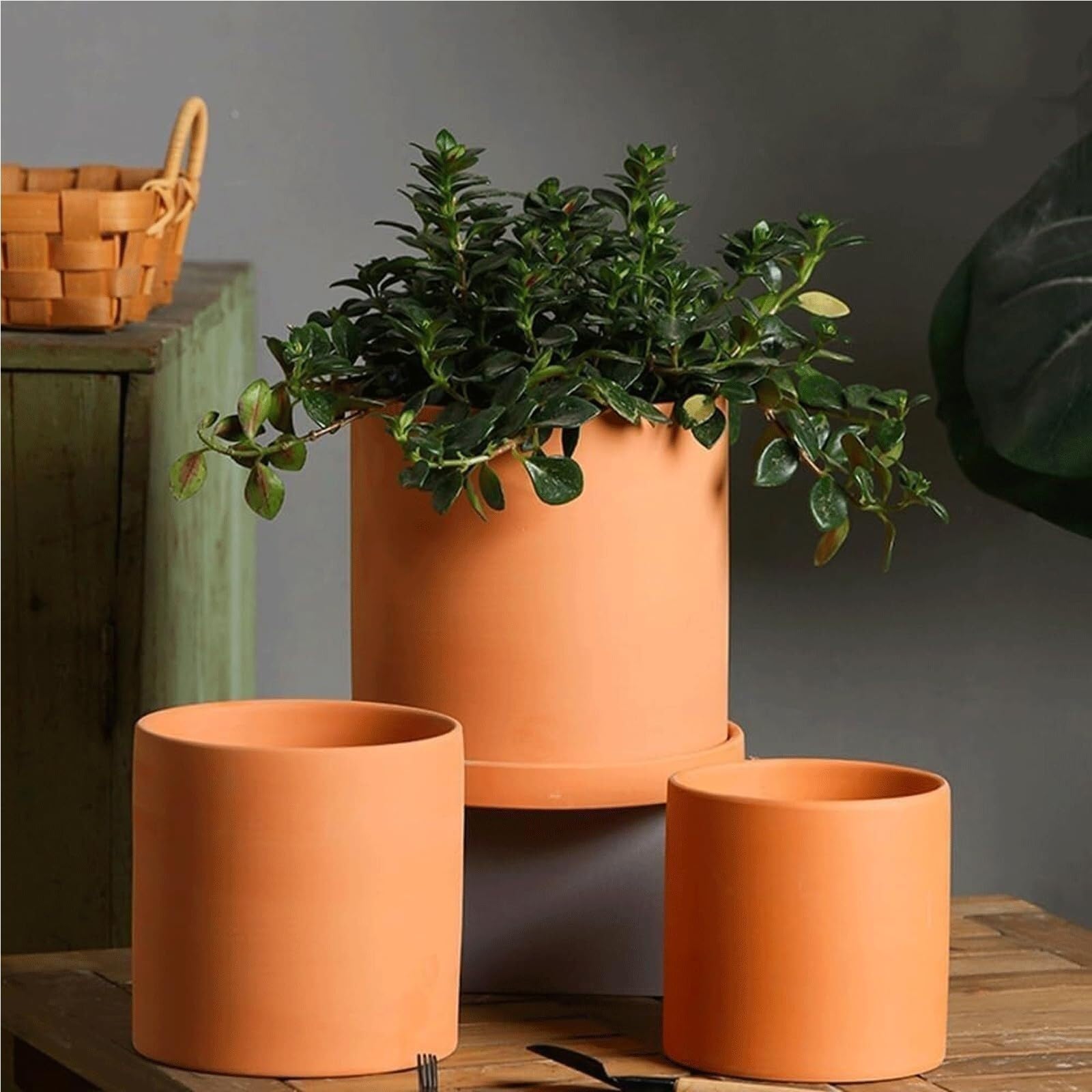 Doniczki na rośliny Doniczki ceramiczne do roślin, stojak na doniczki do storczyków Prezenty dla miłośników roślin(Trays-B)