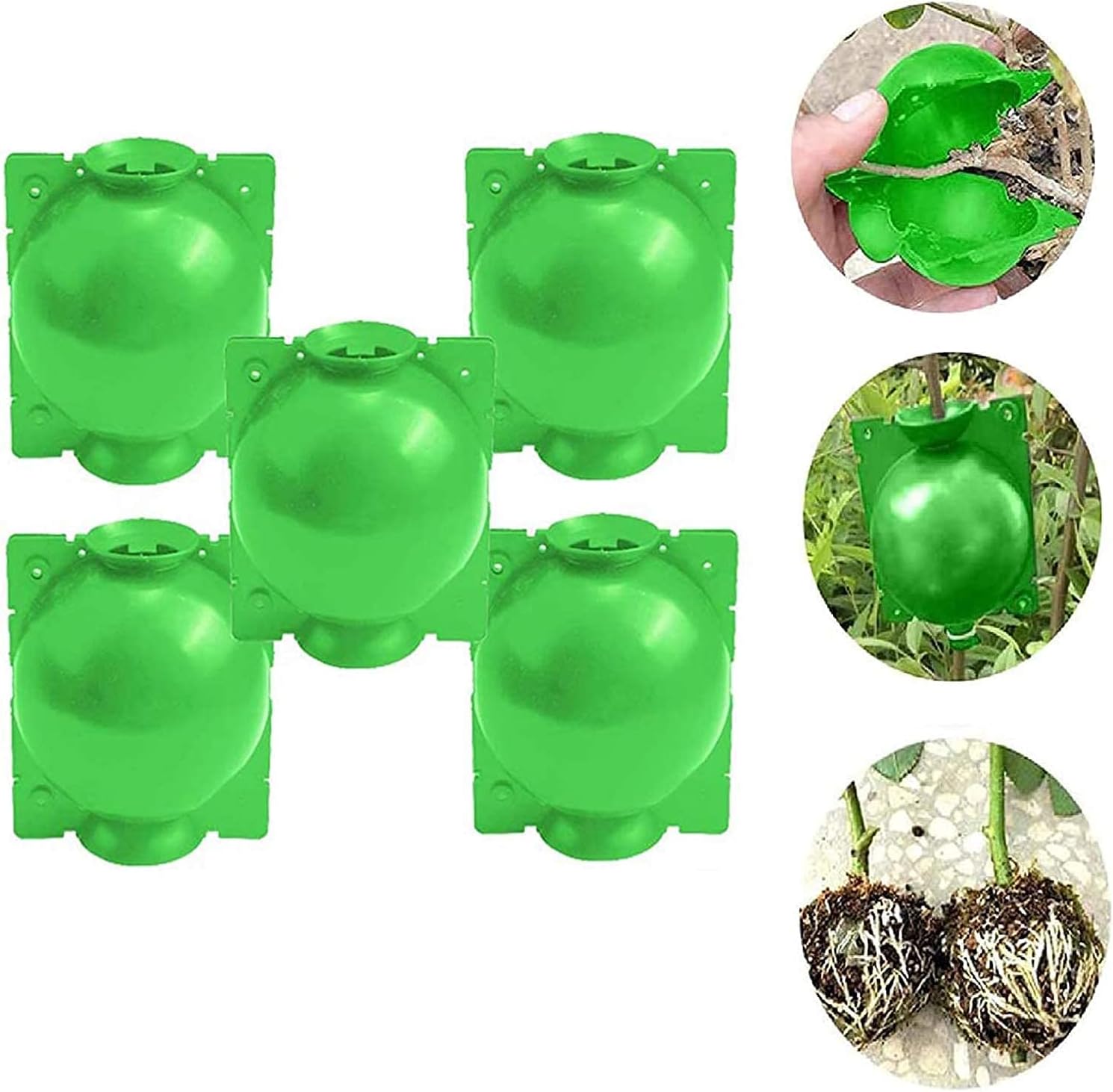 5Pcs Assisted Cutting Rooting, Plant Rooting Device