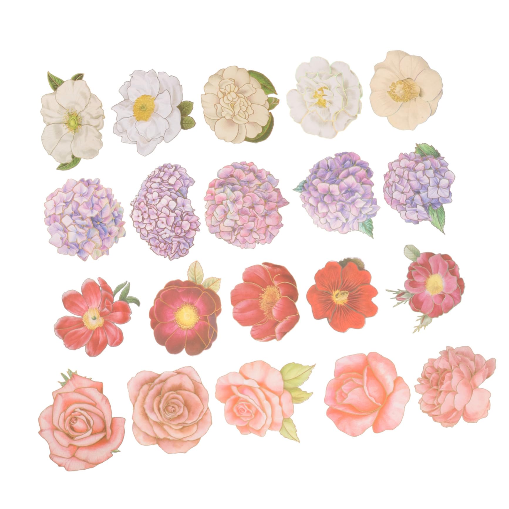 Uonlytech 5 Series Pegatinas De Flores Para Scrapbooking Stickers De Plantas Para Manualidades Decoración De Álbumes Y Diarios Creativo Y Duradero 40 Hojas*5