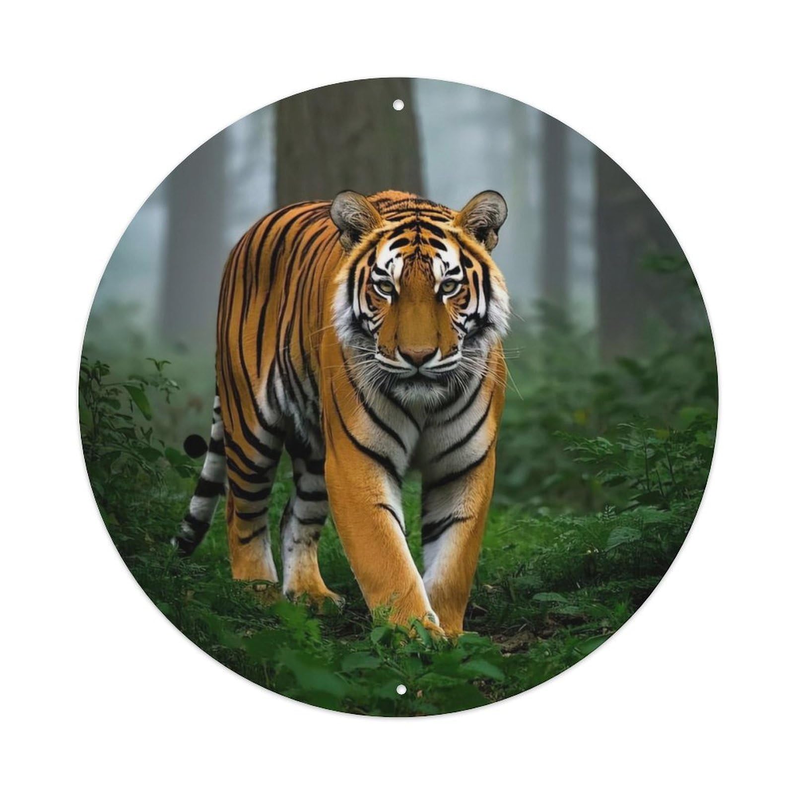 Cwbufd Vintage Style Animal Bengal Tiger In Misty Forest Wildlife Photography Nature Vintage Metal Tin Sign Plaque Wall Decor For Cafe, Club Bar, Office, Garden Metal Poster 8X8inch