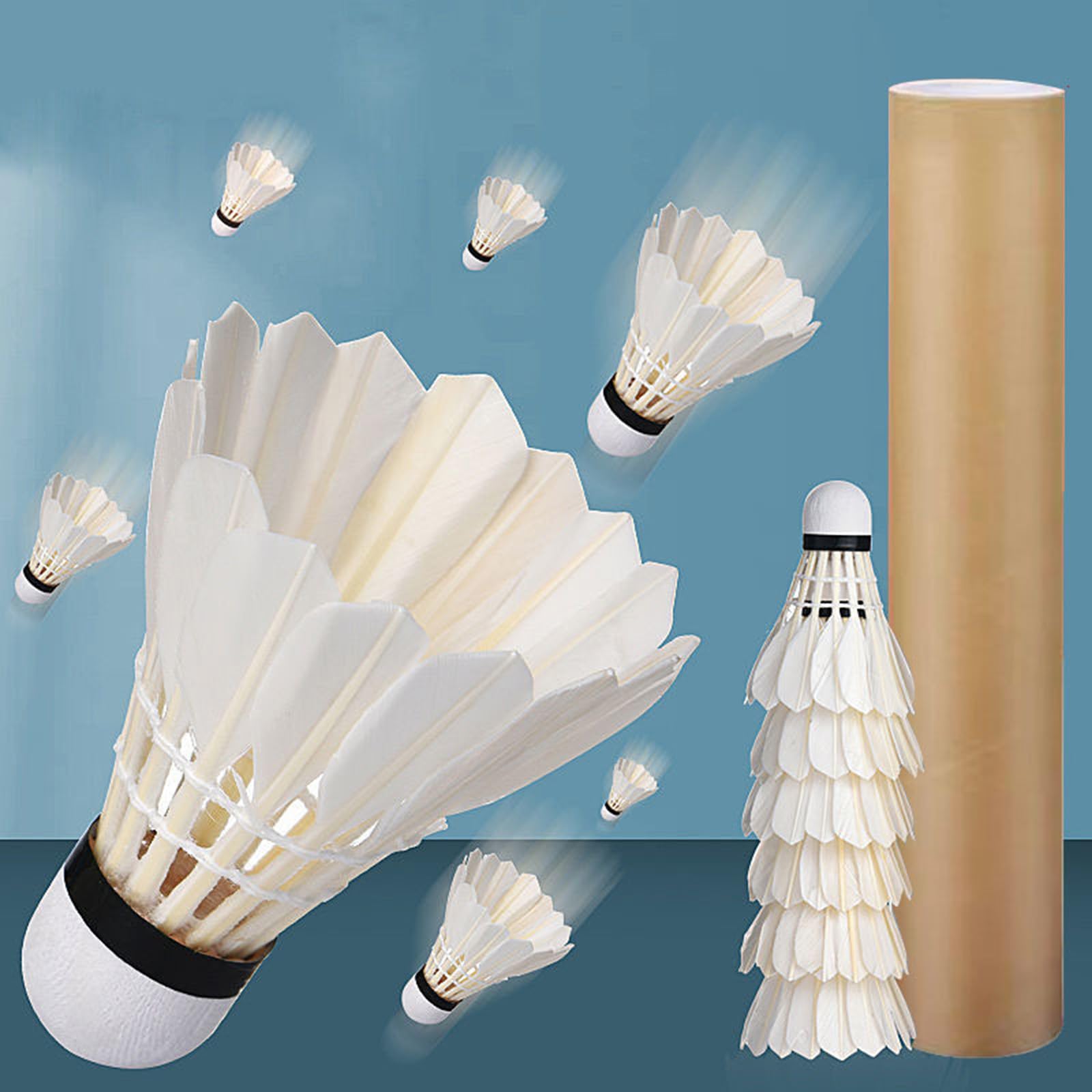 12 Pack Professional Badminton Shuttlecocks - High Speed Duck Feather Shuttlecocks For Training, Beginners, And Family Fun